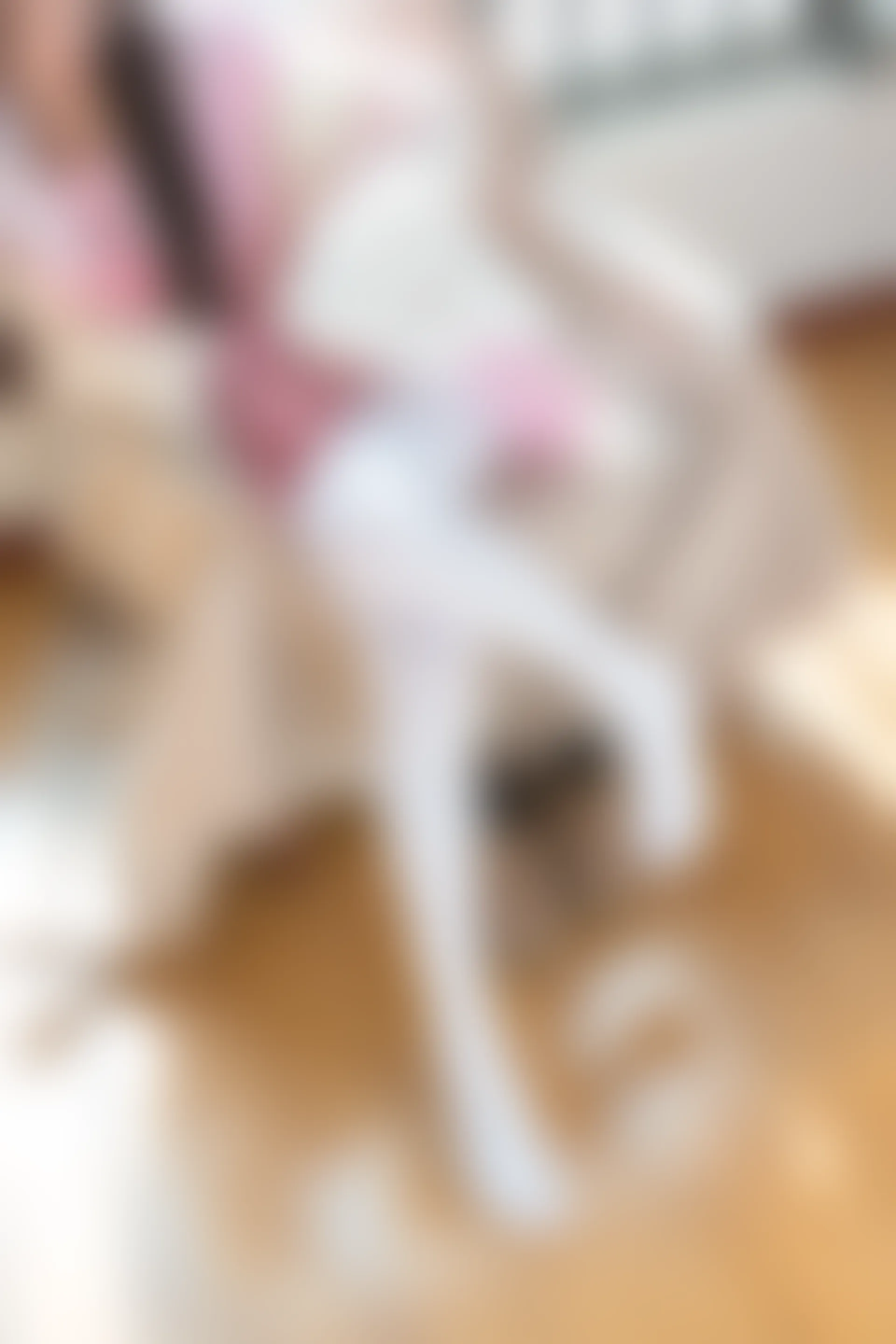 森萝财团 BETA-013 [106P-725M]公主, 可爱, 白丝, 美腿