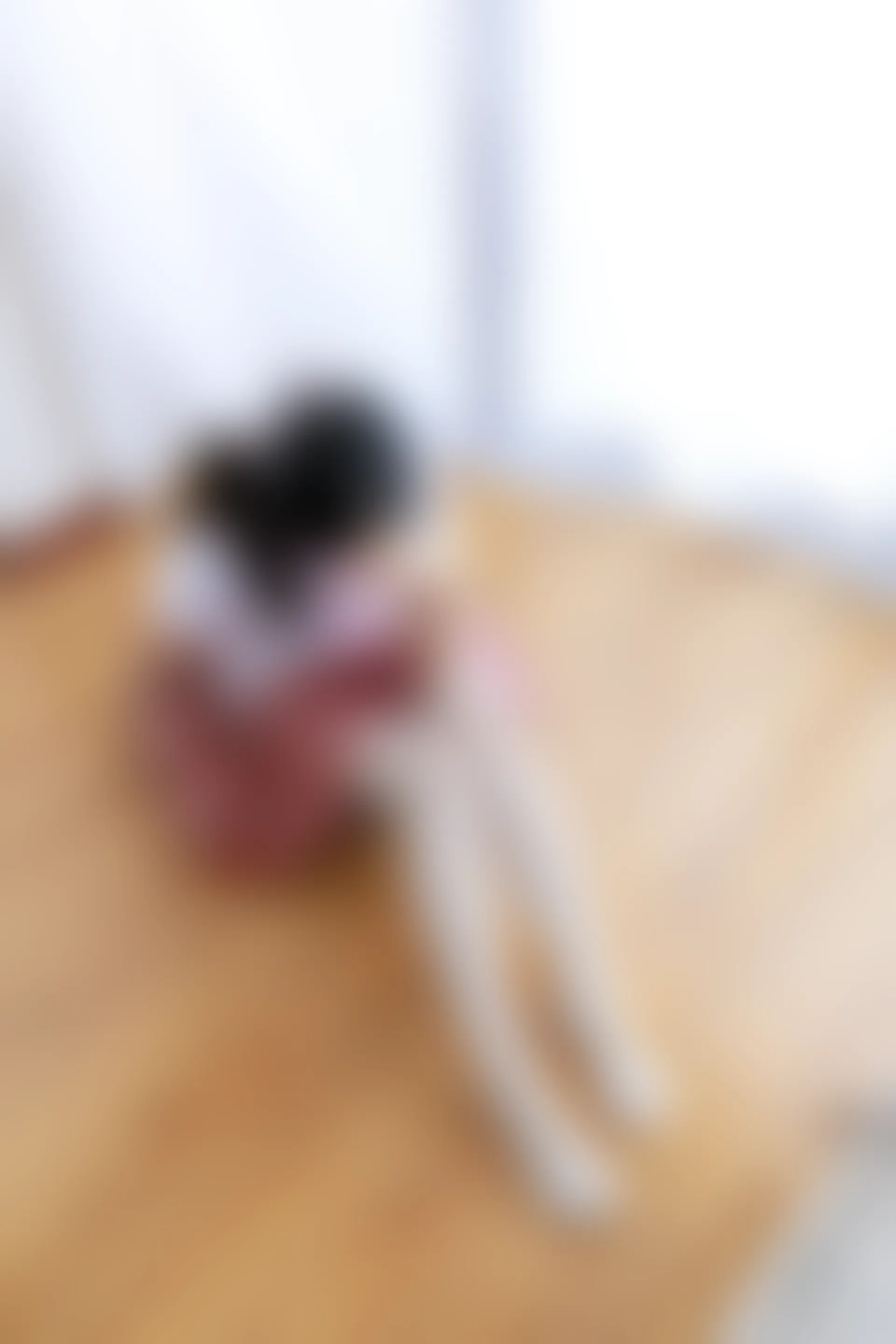 喵写真 R15-006 [98P1V-1.1G]可爱, 喵写真, 学生装, 白丝, 美腿