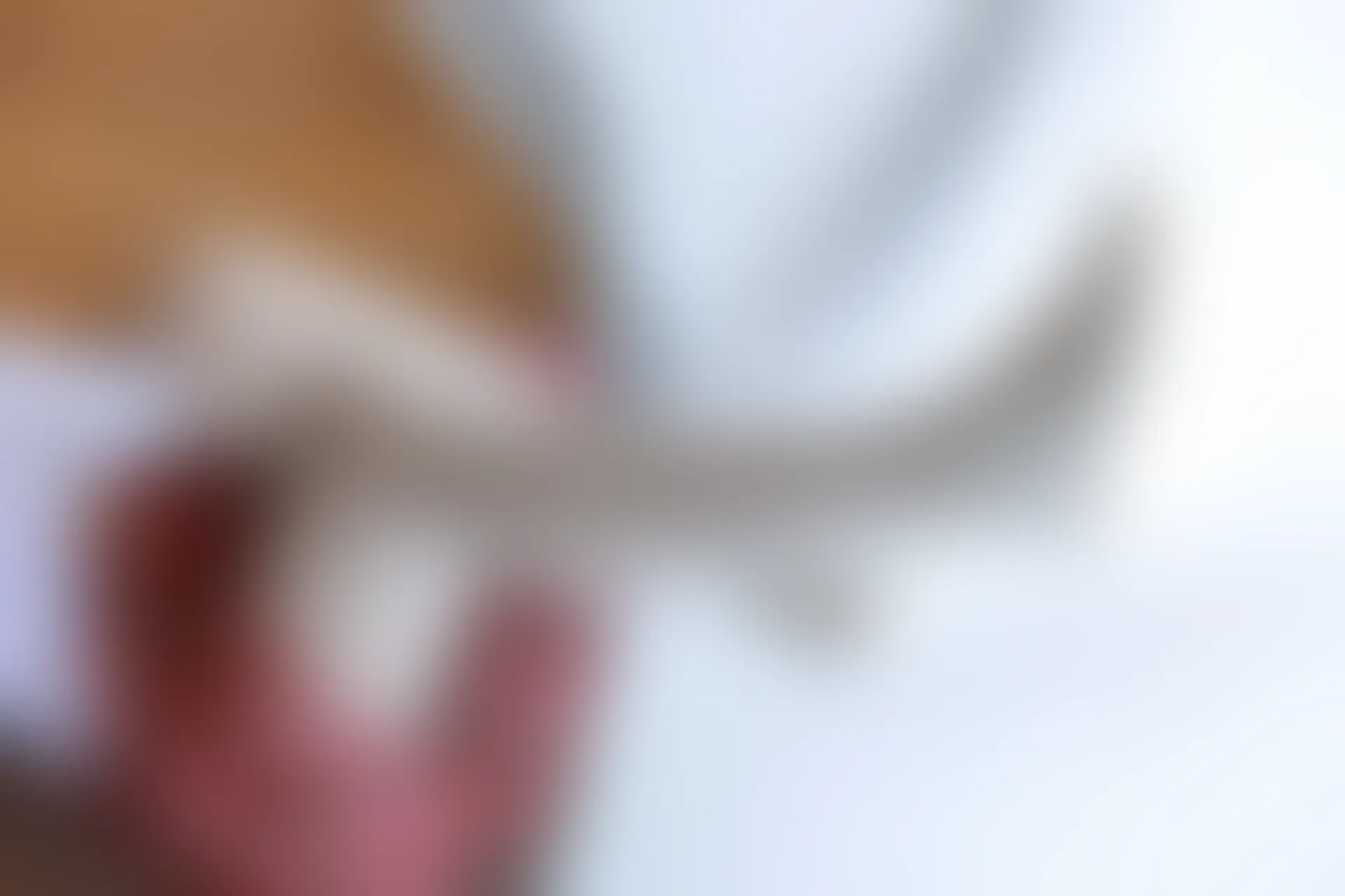 喵写真 R15-006 [98P1V-1.1G]可爱, 喵写真, 学生装, 白丝, 美腿