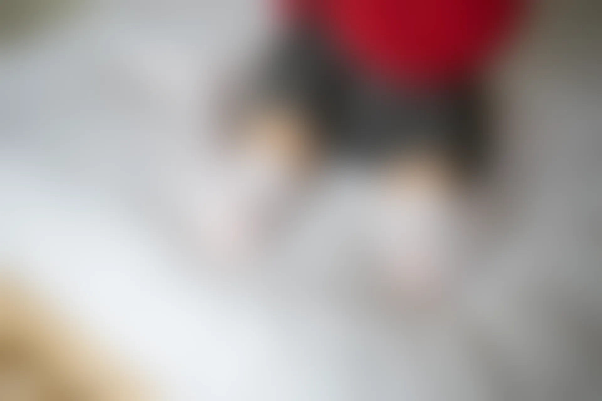 D51.003 红色T恤和白丝 [40P-84MB]