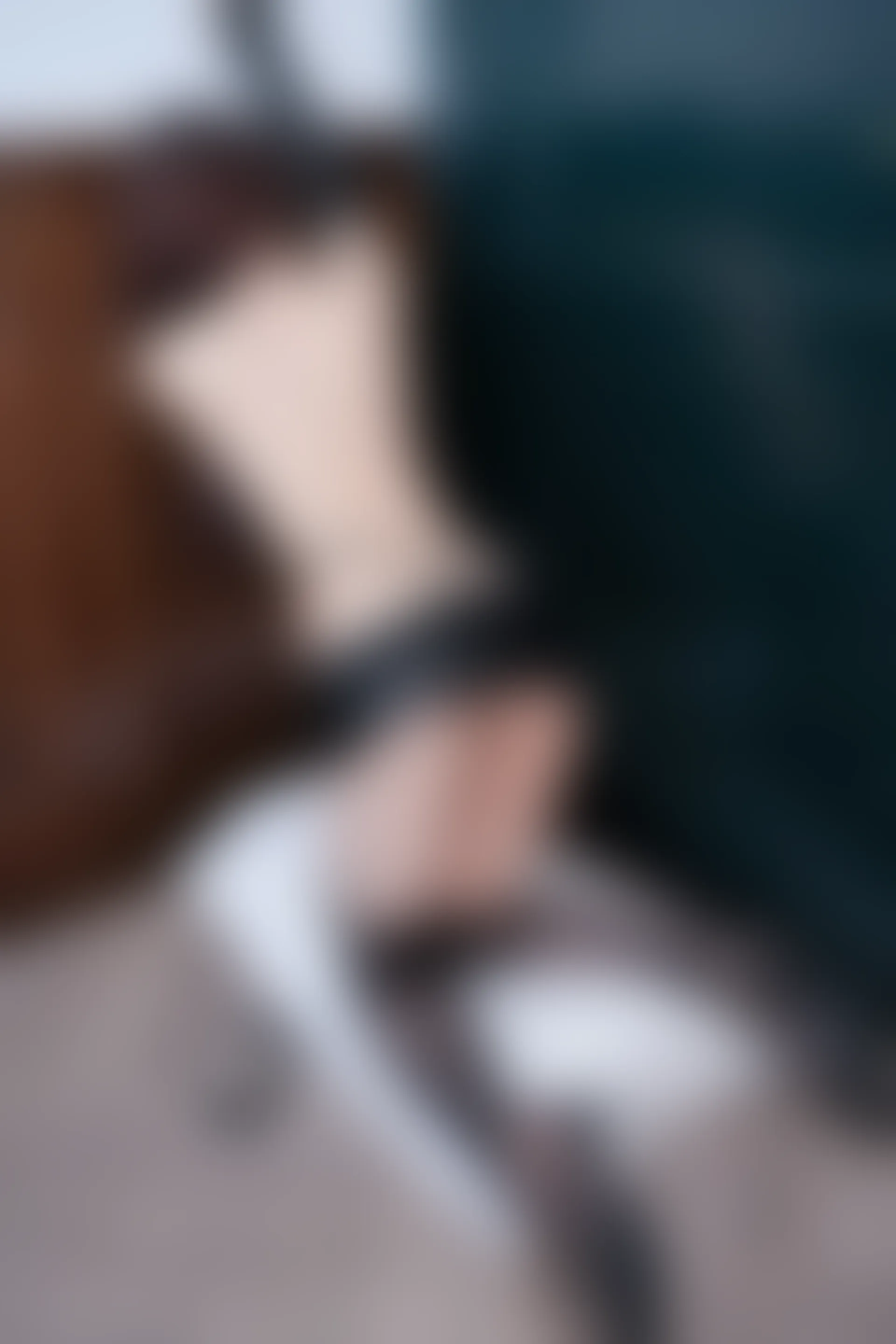 XIUREN秀人网 2024.02.01 NO.8049 苏曼兮[64+1P／577MB]