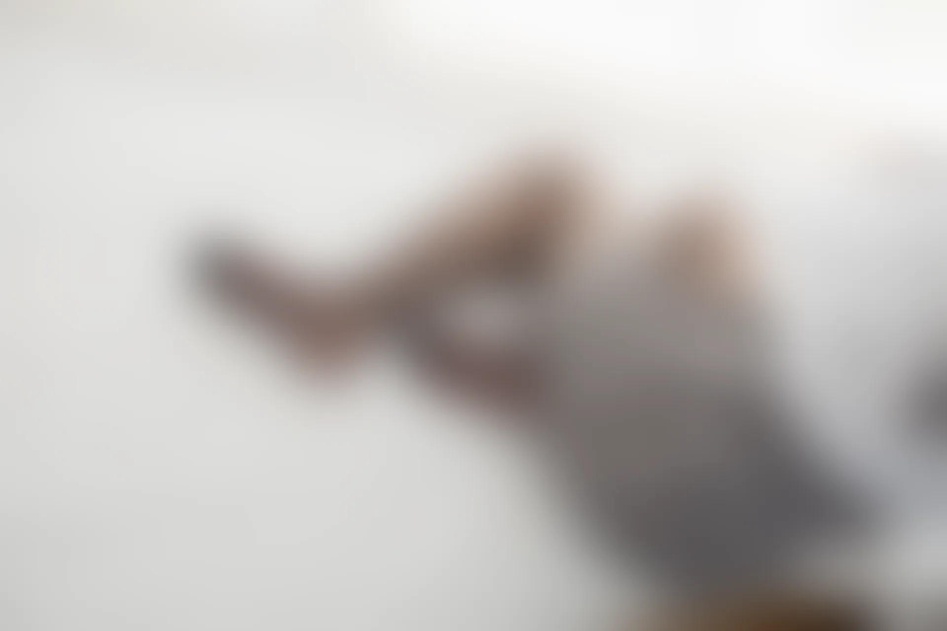 喵写真 VOL-016 [86P-514M]可爱, 喵写真, 美腿, 黑丝