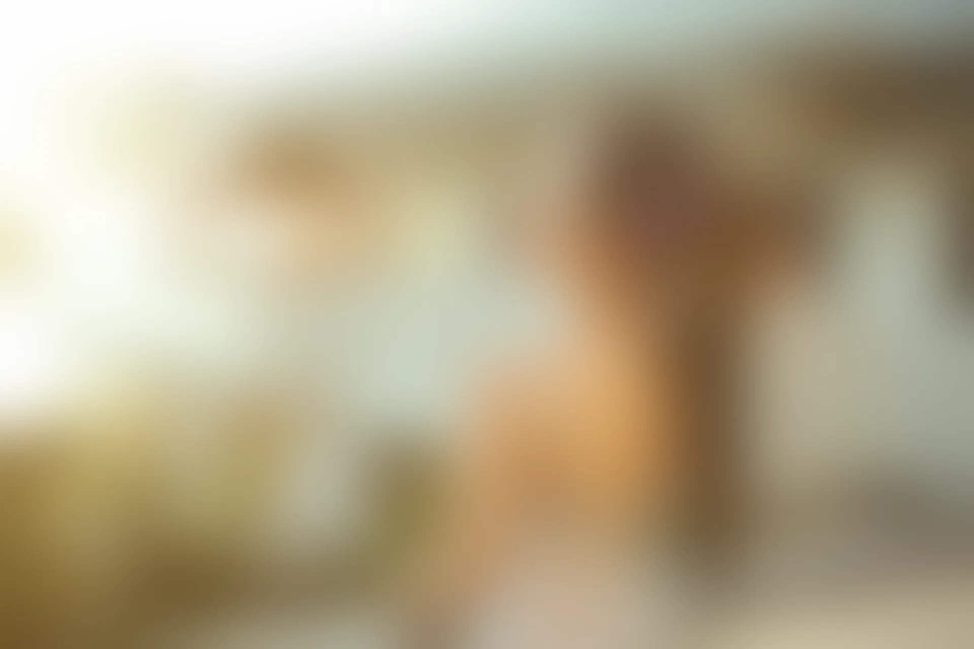 XiuRen秀人网 2014.01.13 No.084 本能