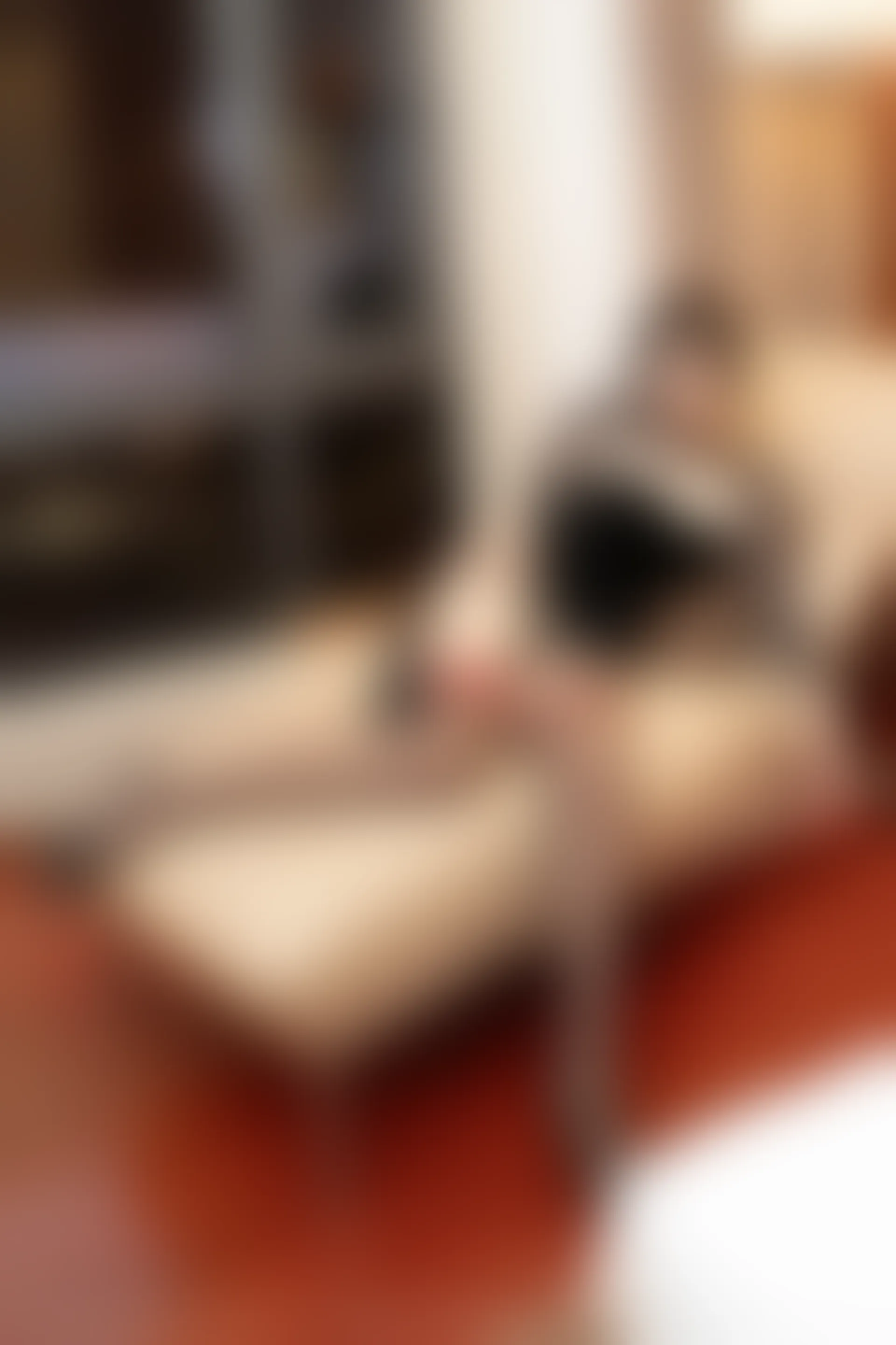 XIUREN秀人网 2023.11.27 NO.7723 王楚璇[44+1P／451MB]