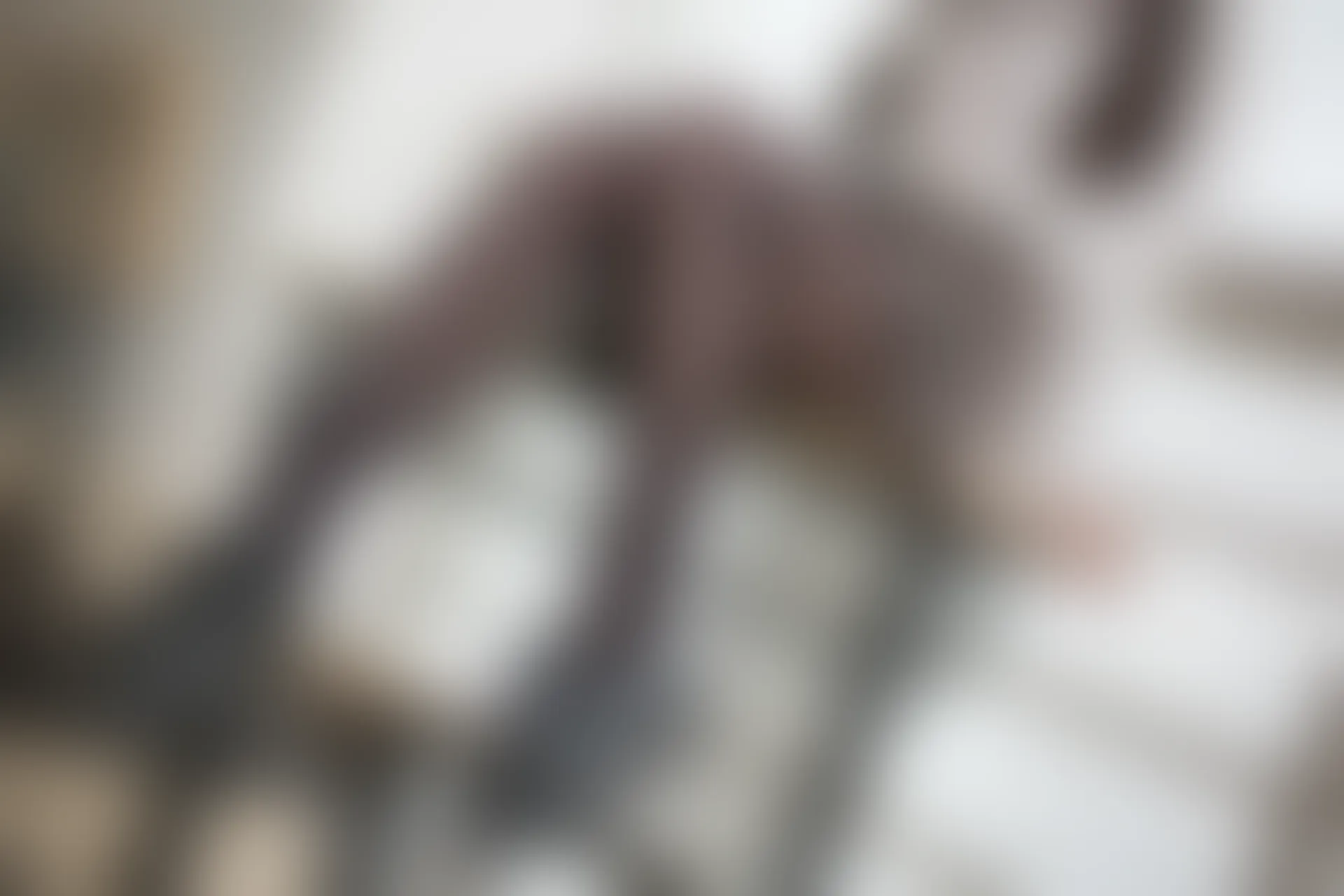 森萝财团 R15-043 [98P-604M]学生装, 森萝财团, 美腿, 黑丝