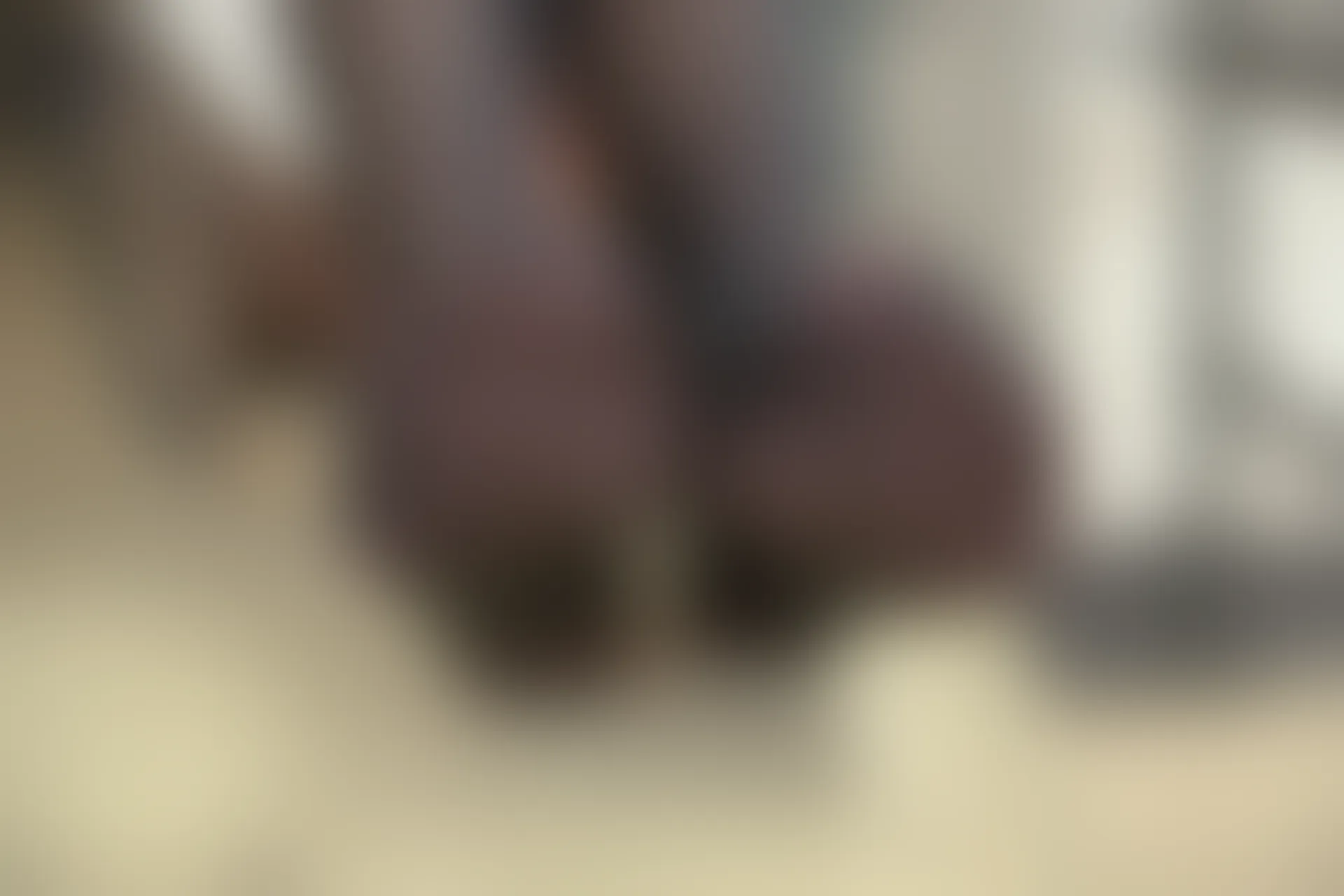 森萝财团 R15-043 [98P-604M]学生装, 森萝财团, 美腿, 黑丝