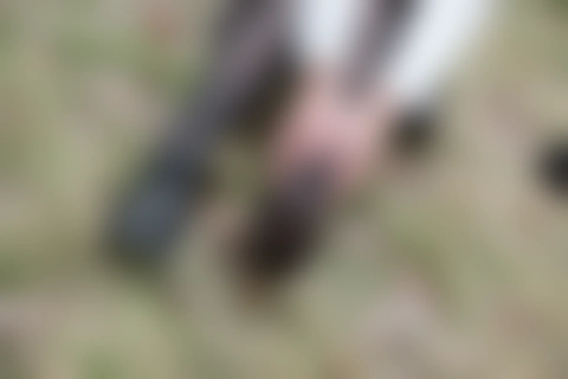 森萝财团 R15-043 [98P-604M]学生装, 森萝财团, 美腿, 黑丝