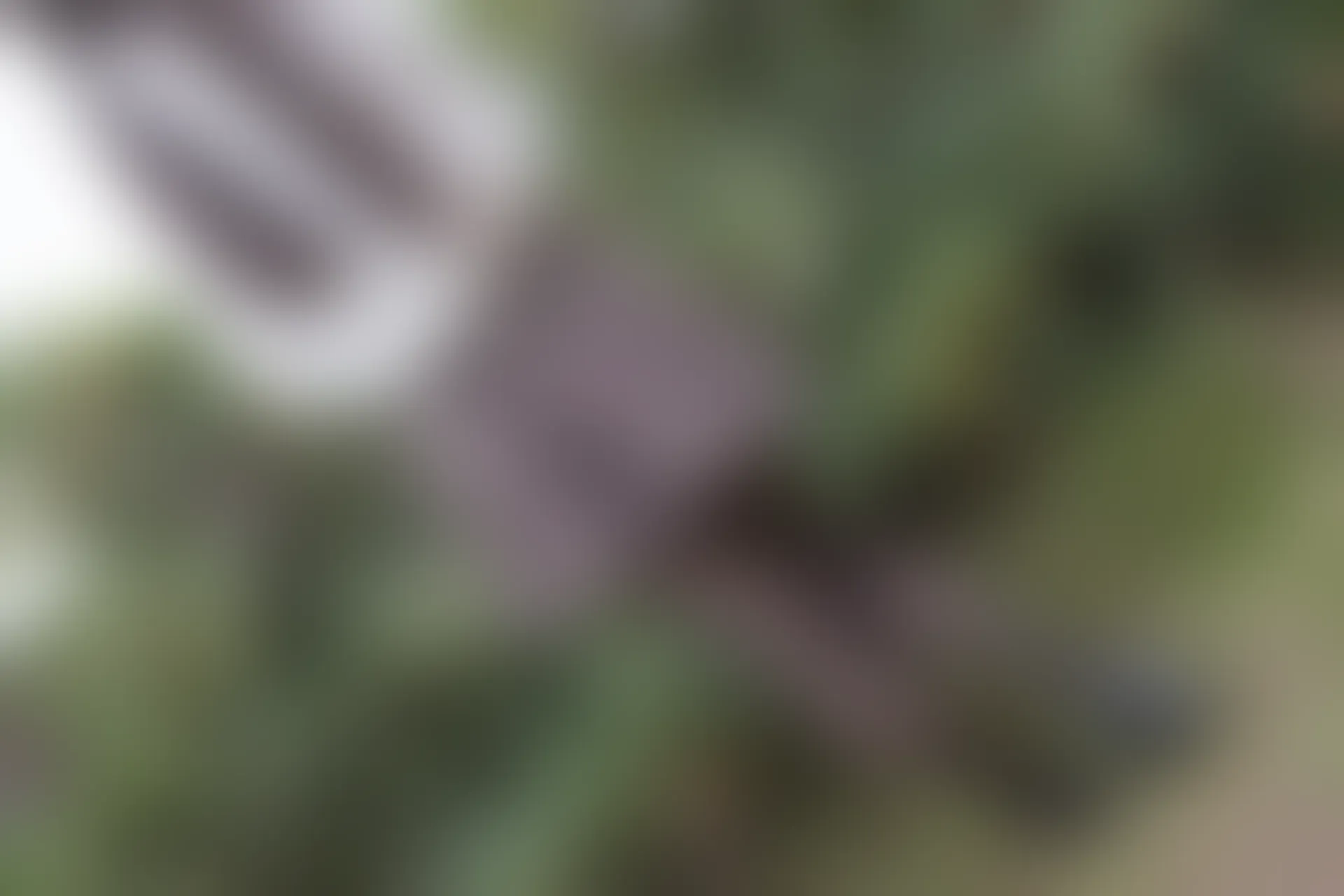 森萝财团 R15-043 [98P-604M]学生装, 森萝财团, 美腿, 黑丝