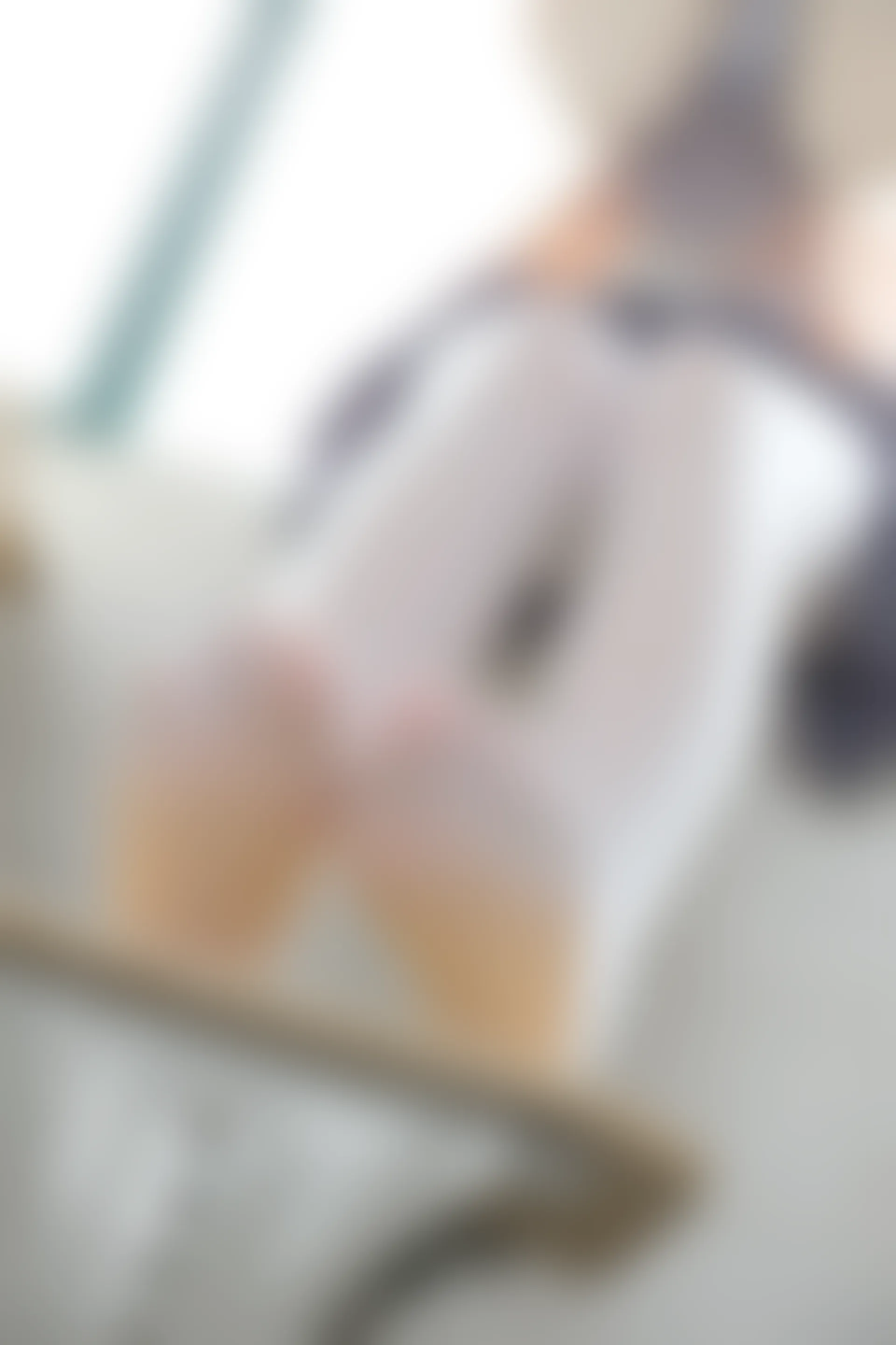 森萝财团 X-017 [99P1V-1.24G]学生装, 校服, 森萝财团, 白丝, 美腿