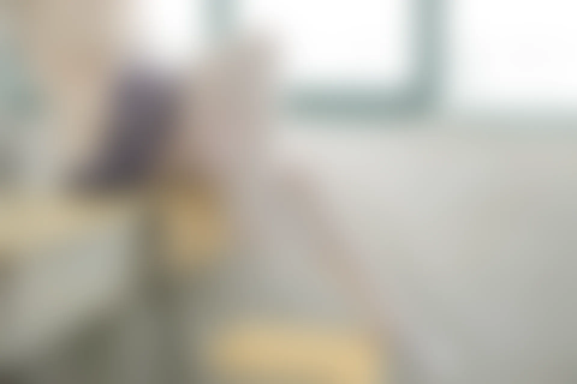 森萝财团 X-017 [99P1V-1.24G]学生装, 校服, 森萝财团, 白丝, 美腿