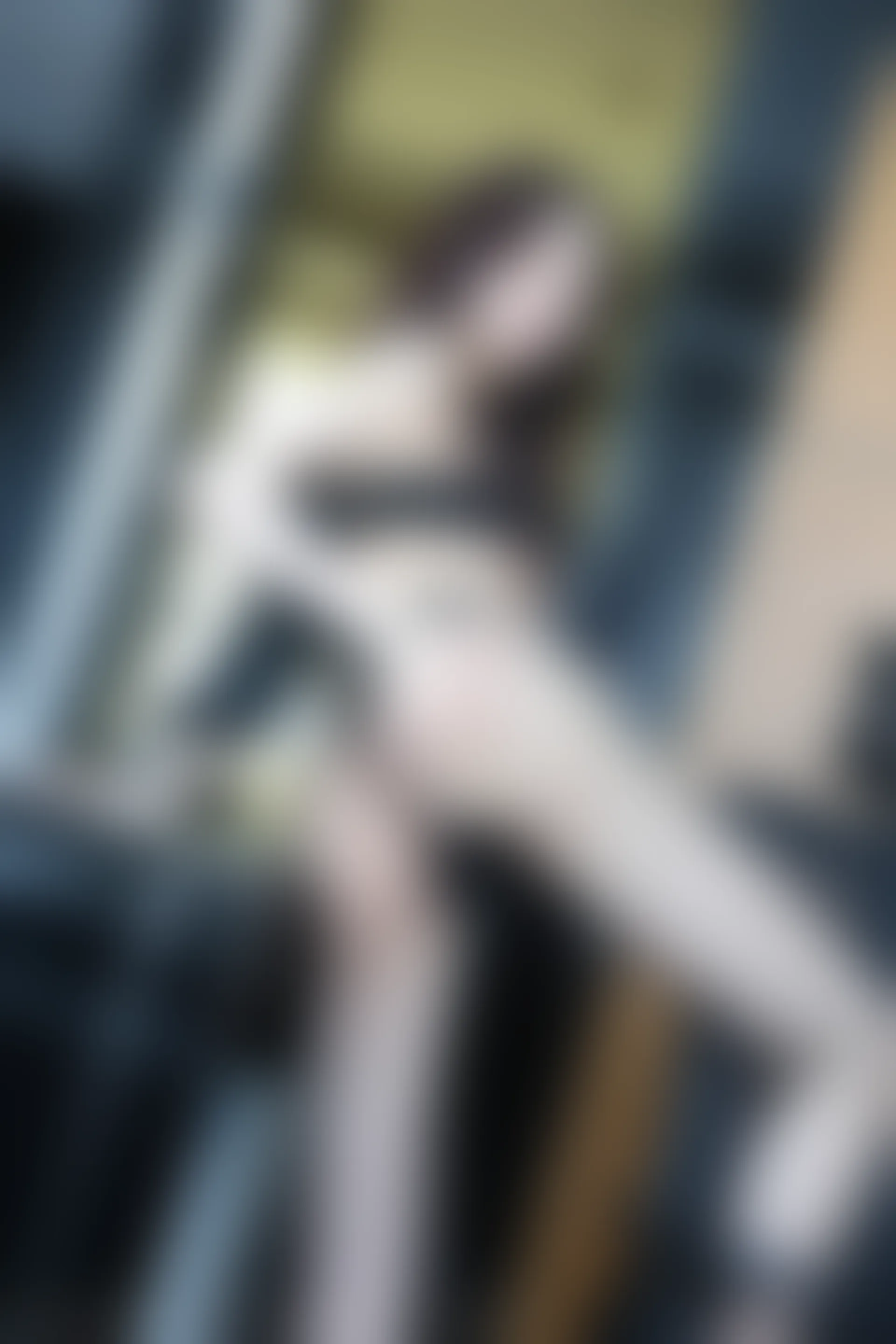 XIUREN秀人网 2023.06.19 NO.6937 玉兔miki [81+1P740M]
