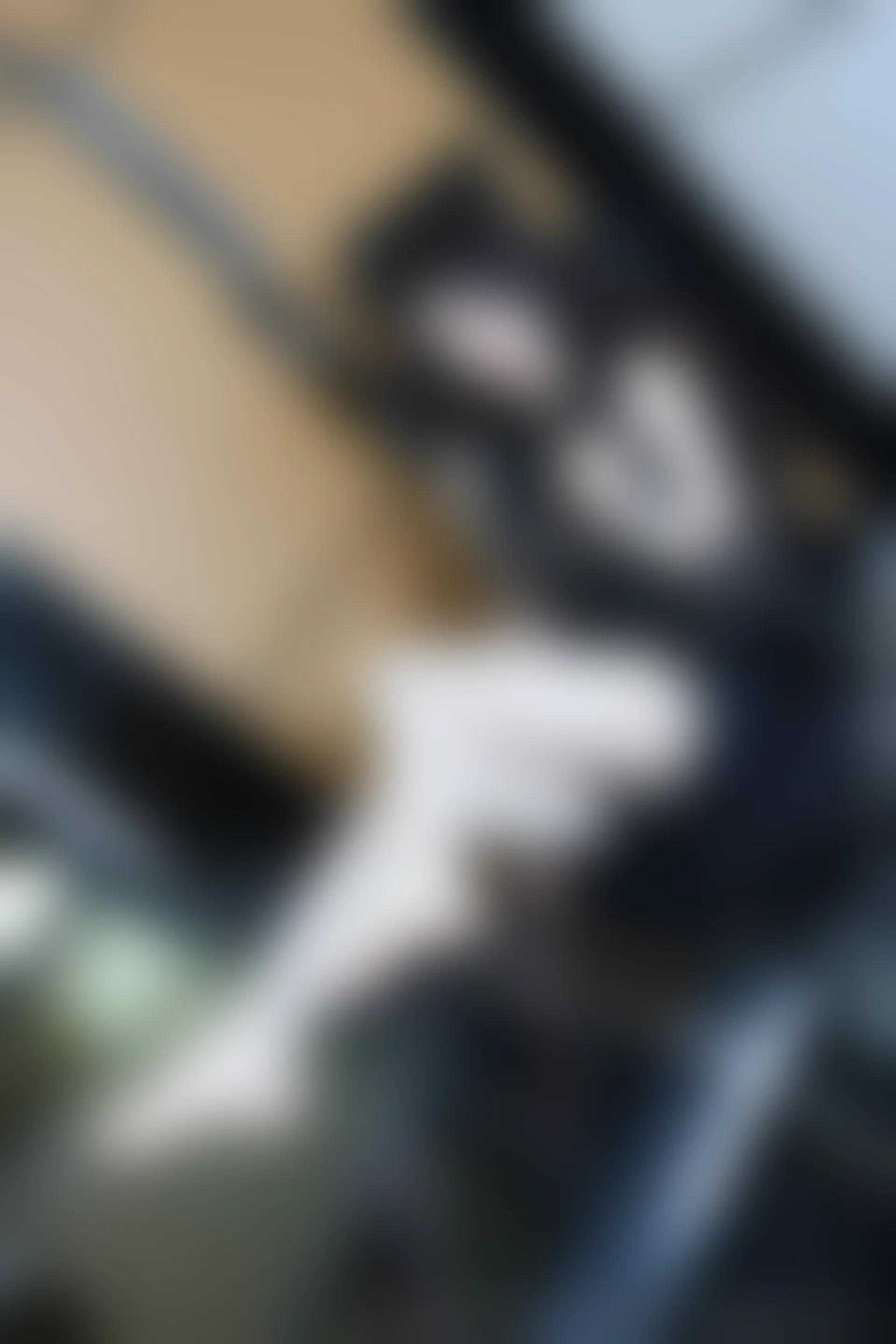 XIUREN秀人网 2023.06.19 NO.6937 玉兔miki [81+1P740M]