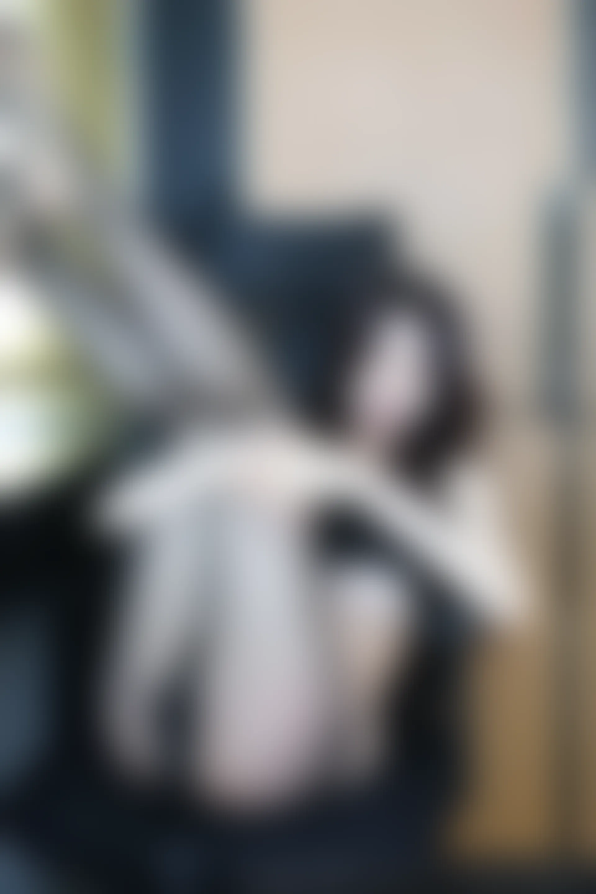 XIUREN秀人网 2023.06.19 NO.6937 玉兔miki [81+1P740M]