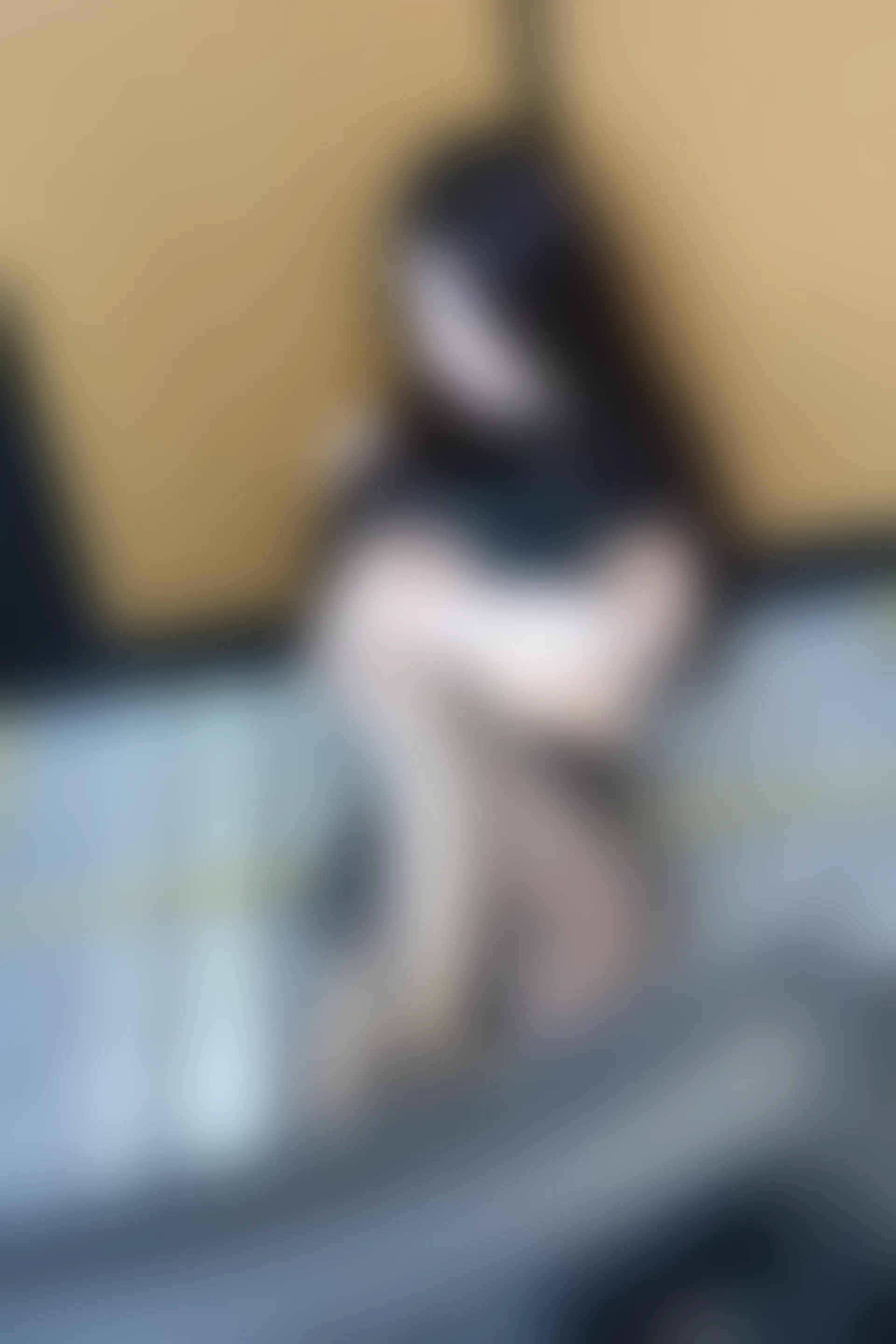 XIUREN秀人网 2023.06.19 NO.6937 玉兔miki [81+1P740M]