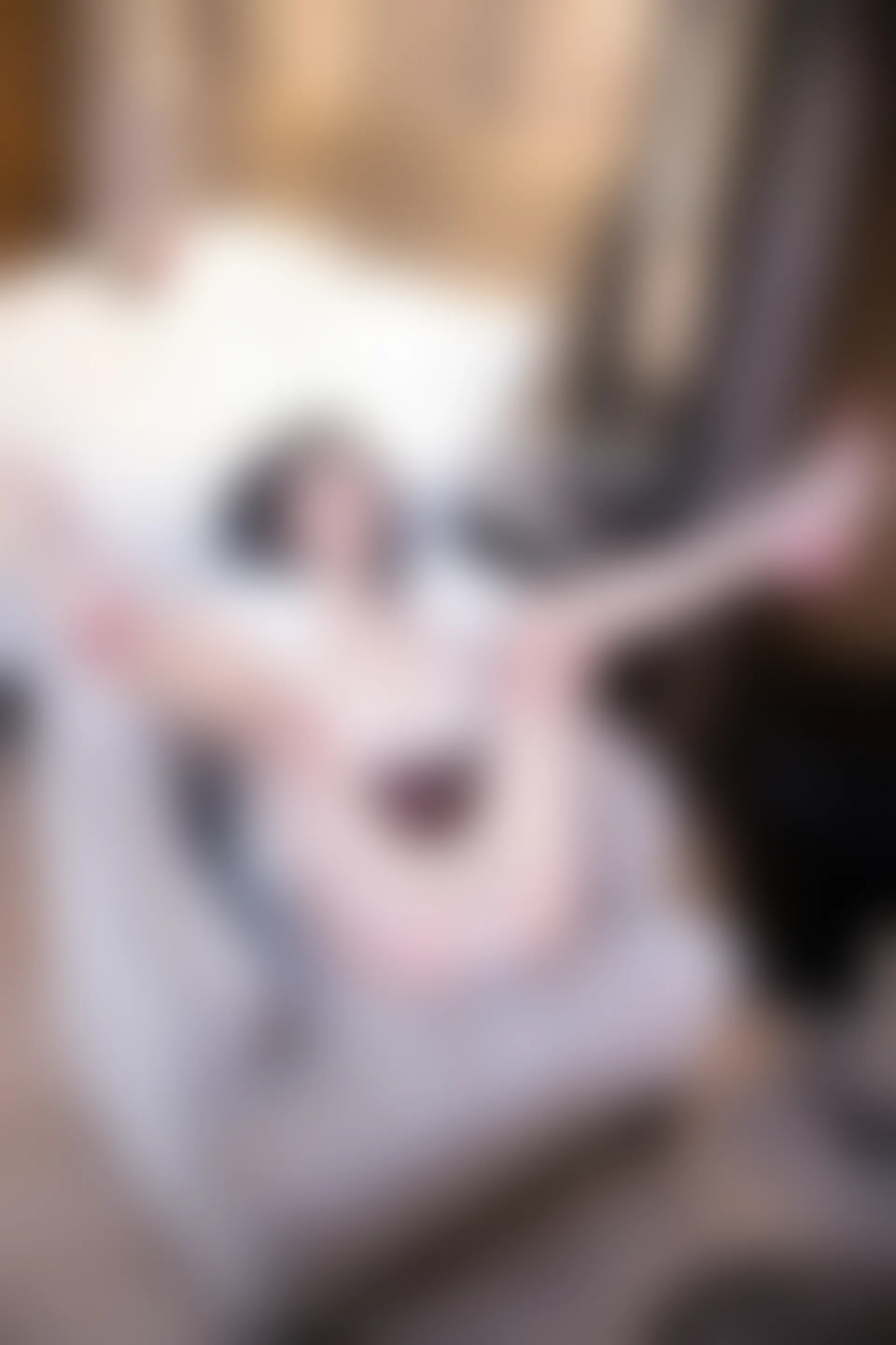 XIUREN秀人网 2023.06.15 NO.6917 大美妞儿 [85+1P774M]