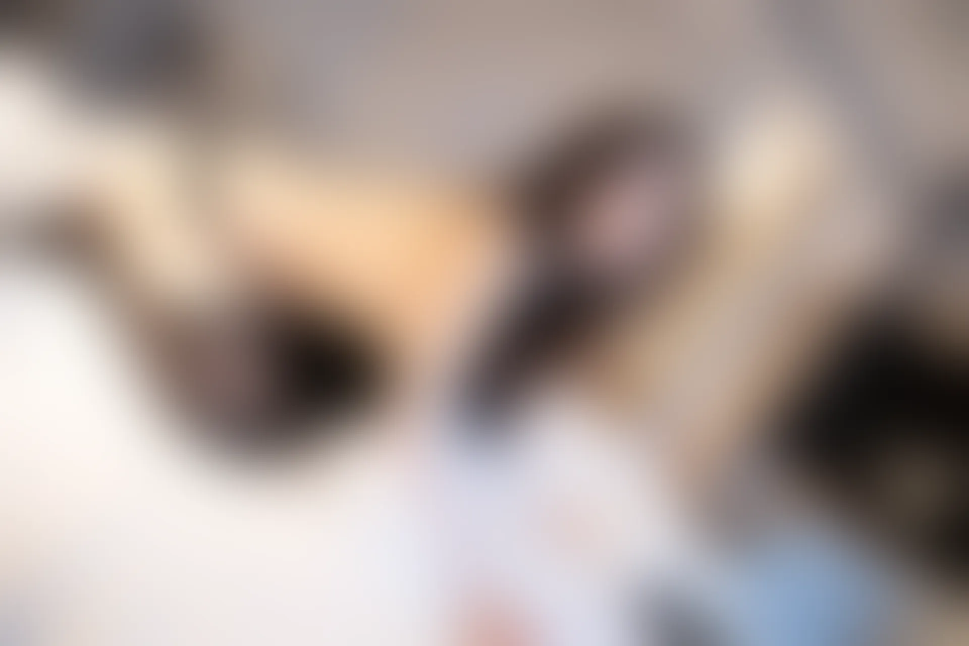 XiuRen秀人网 2022.01.24 No.4502 xiuren白露 美腿黑丝[71+1P 717MB]