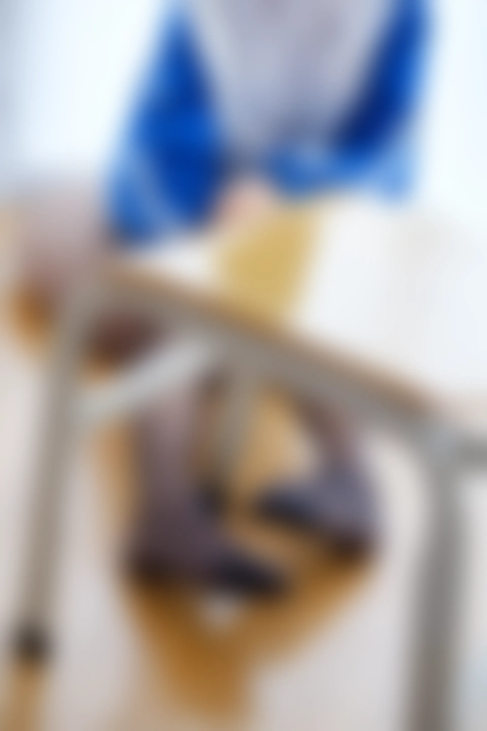 喵写真 R15-004 [108P1V-1.14G]喵写真, 学生装, 美腿, 黑丝