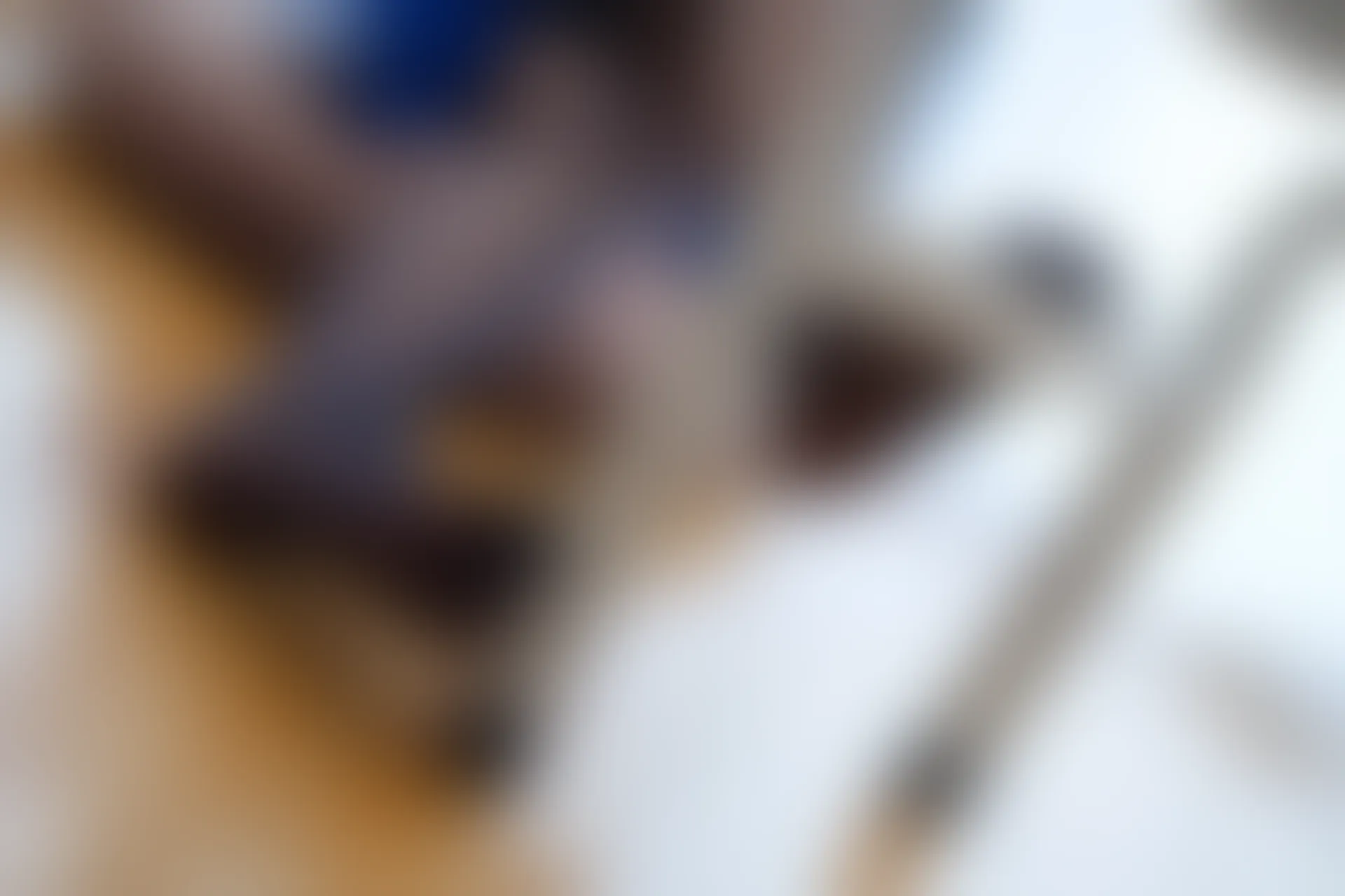 喵写真 R15-004 [108P1V-1.14G]喵写真, 学生装, 美腿, 黑丝