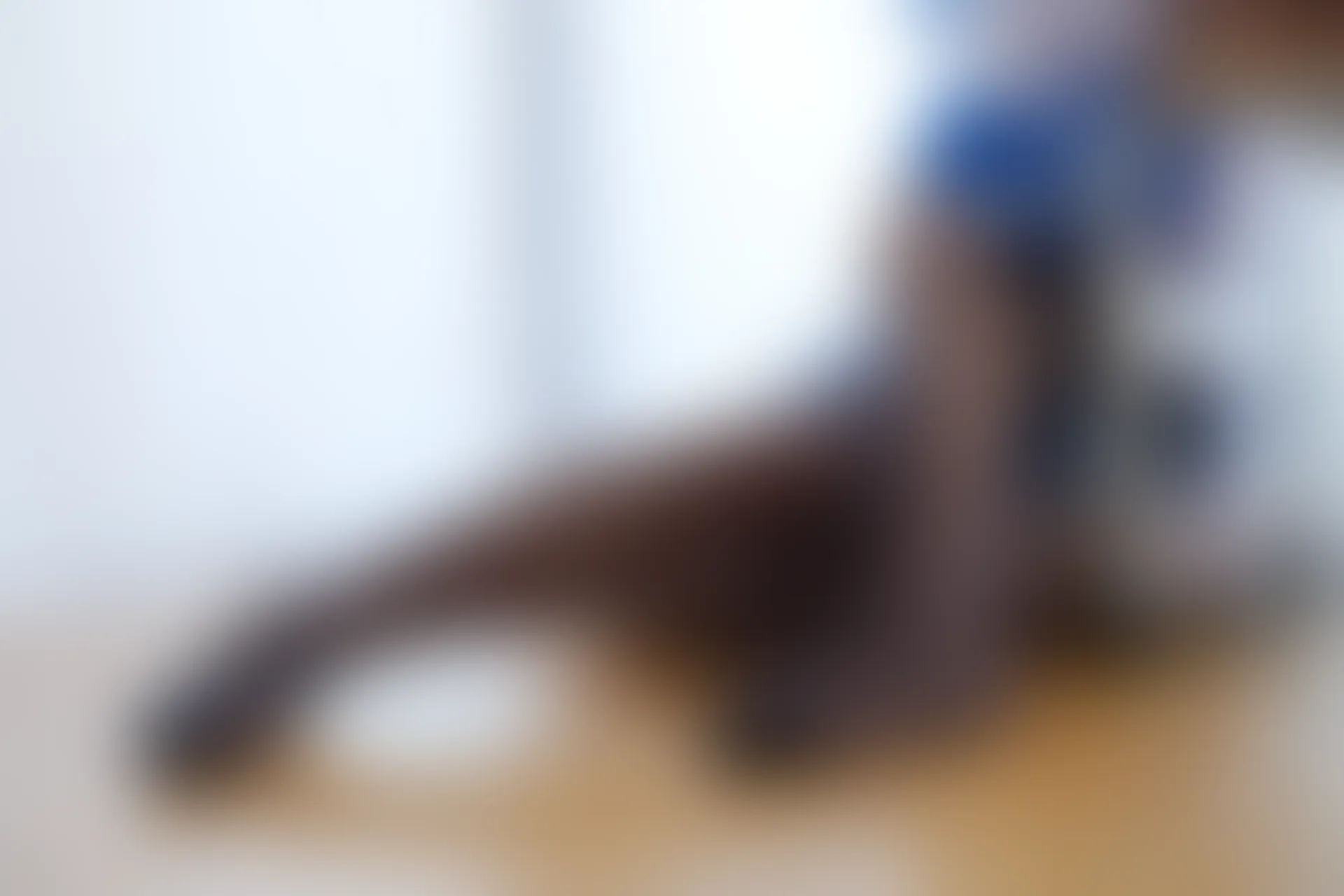 喵写真 R15-004 [108P1V-1.14G]喵写真, 学生装, 美腿, 黑丝