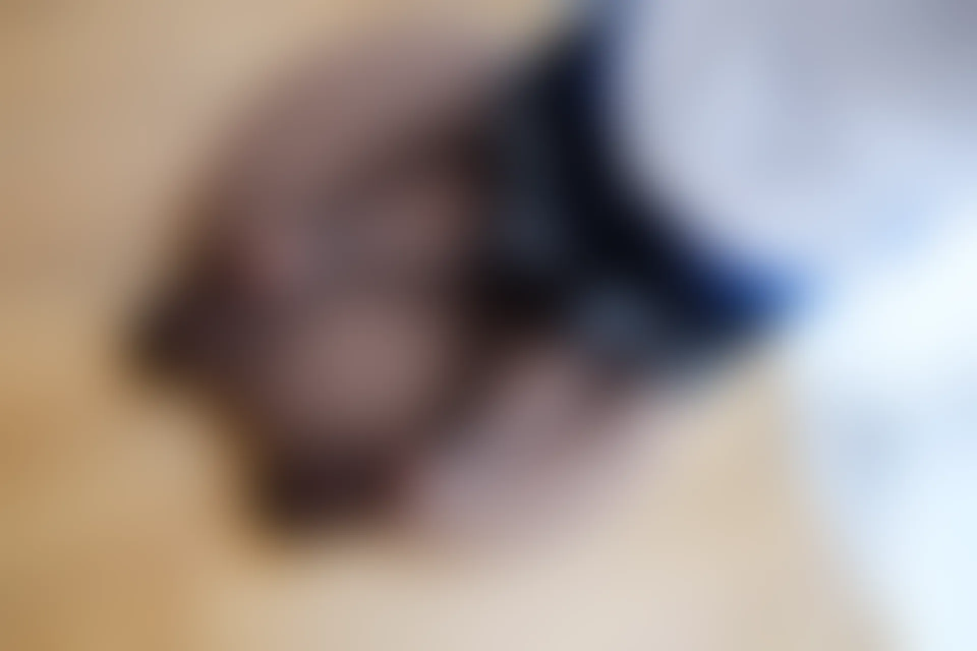 喵写真 R15-004 [108P1V-1.14G]喵写真, 学生装, 美腿, 黑丝