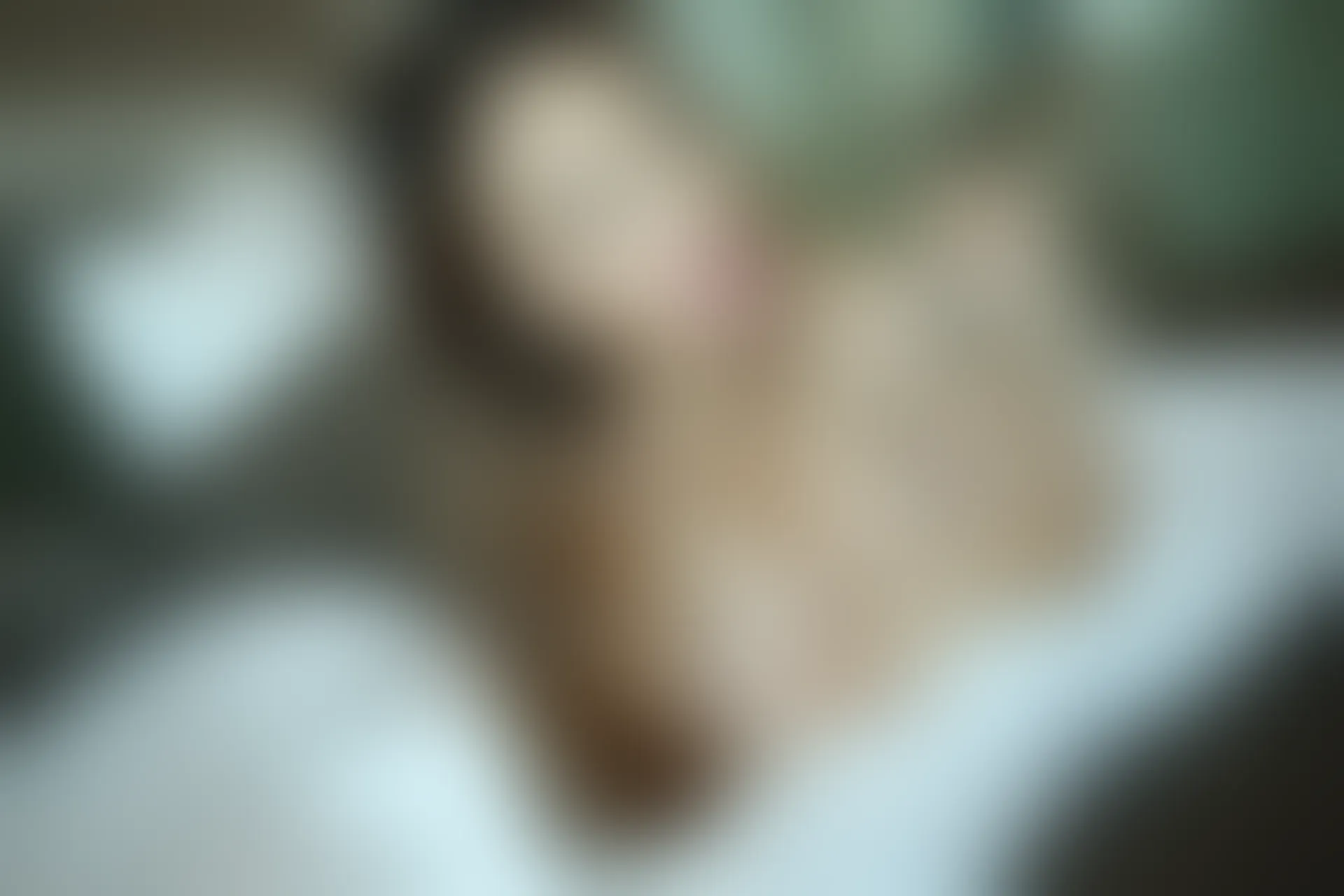 XiuRen秀人网 2014.03.03 No.107 丽莉Lily丶 [63P-249MB]