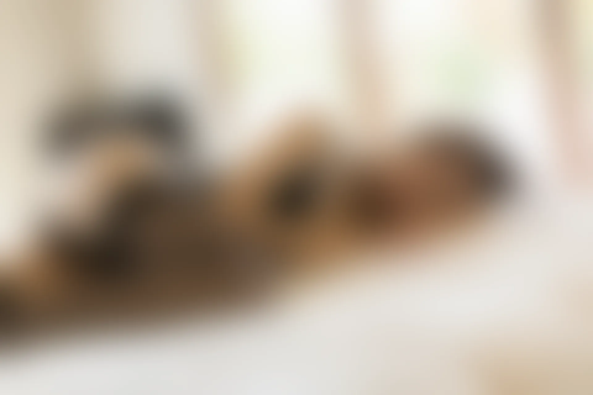 [YouMi尤蜜荟] 2019.06.06 VOL.316 奶瓶土肥圆矮挫丑黑穷[53+1P102M]