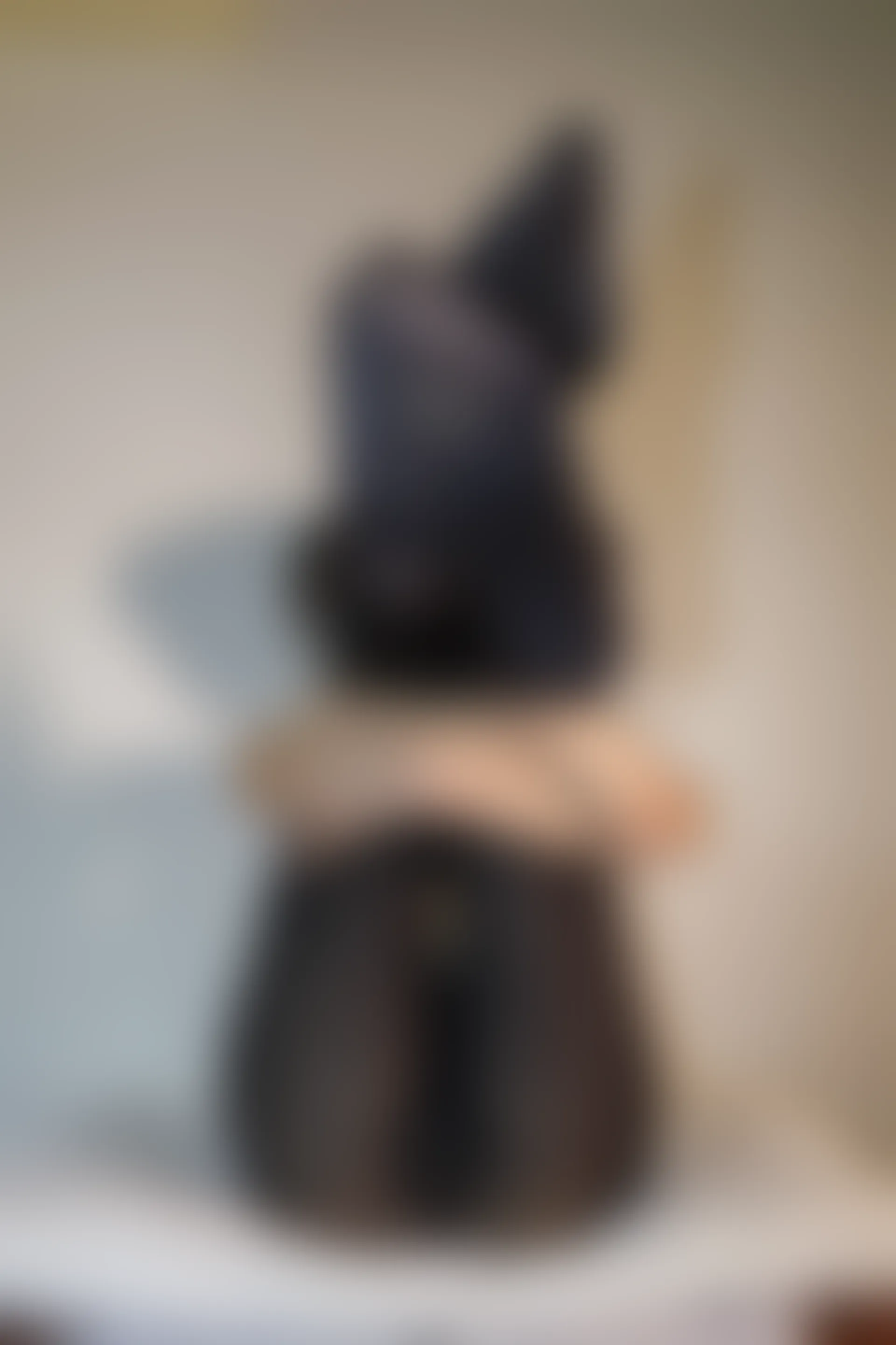 森萝财团 内部VIP系列 雏菊-02 双马尾黑丝吊带睡衣 [112P1V-3.78GB]