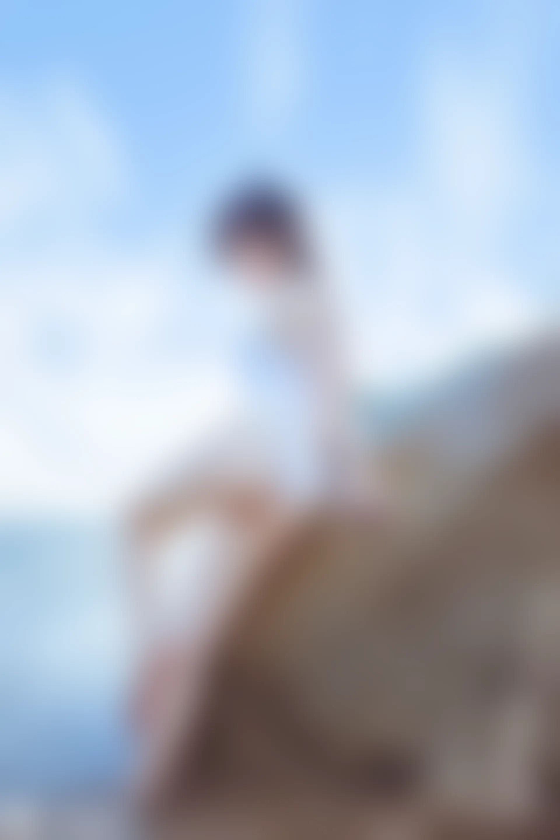 C16.001 獒犬海边泳装 [41P-403MB]