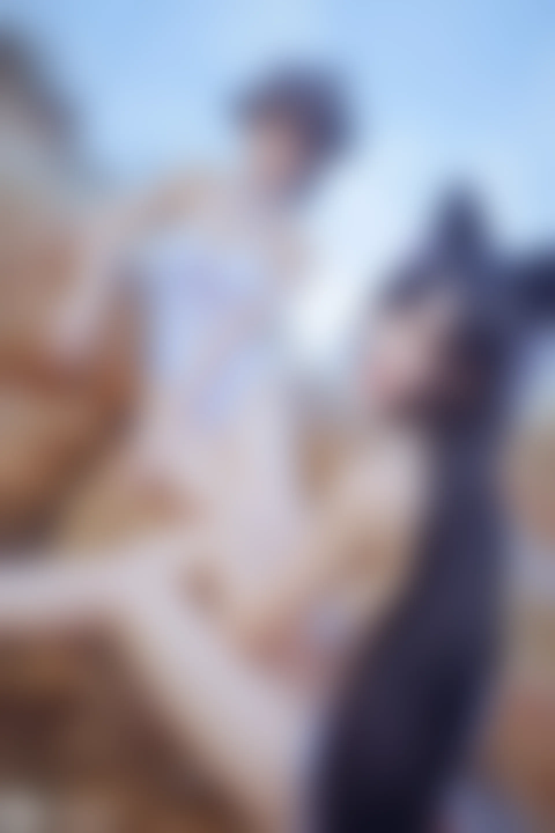 C16.001 獒犬海边泳装 [41P-403MB]