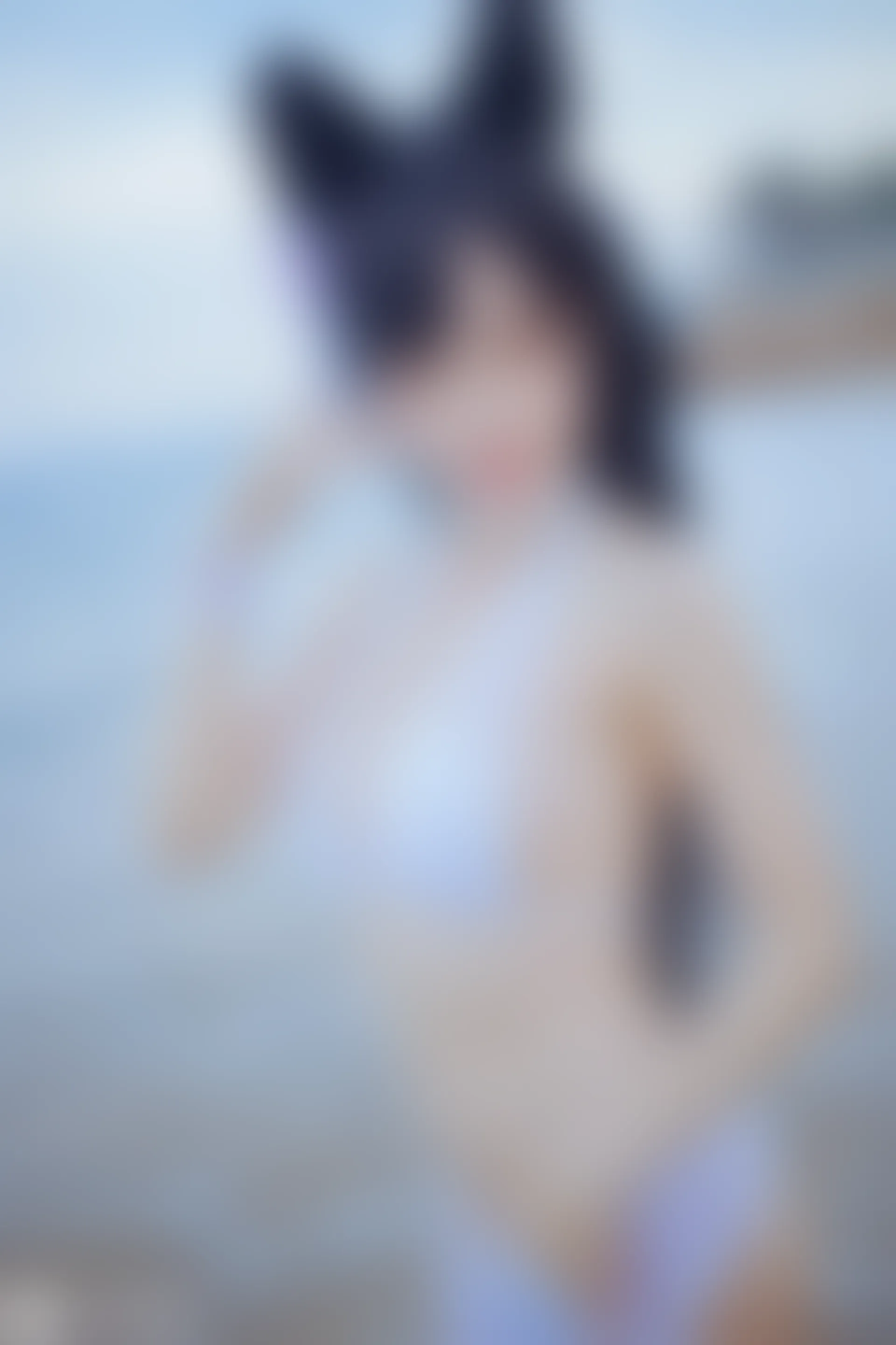 C16.001 獒犬海边泳装 [41P-403MB]