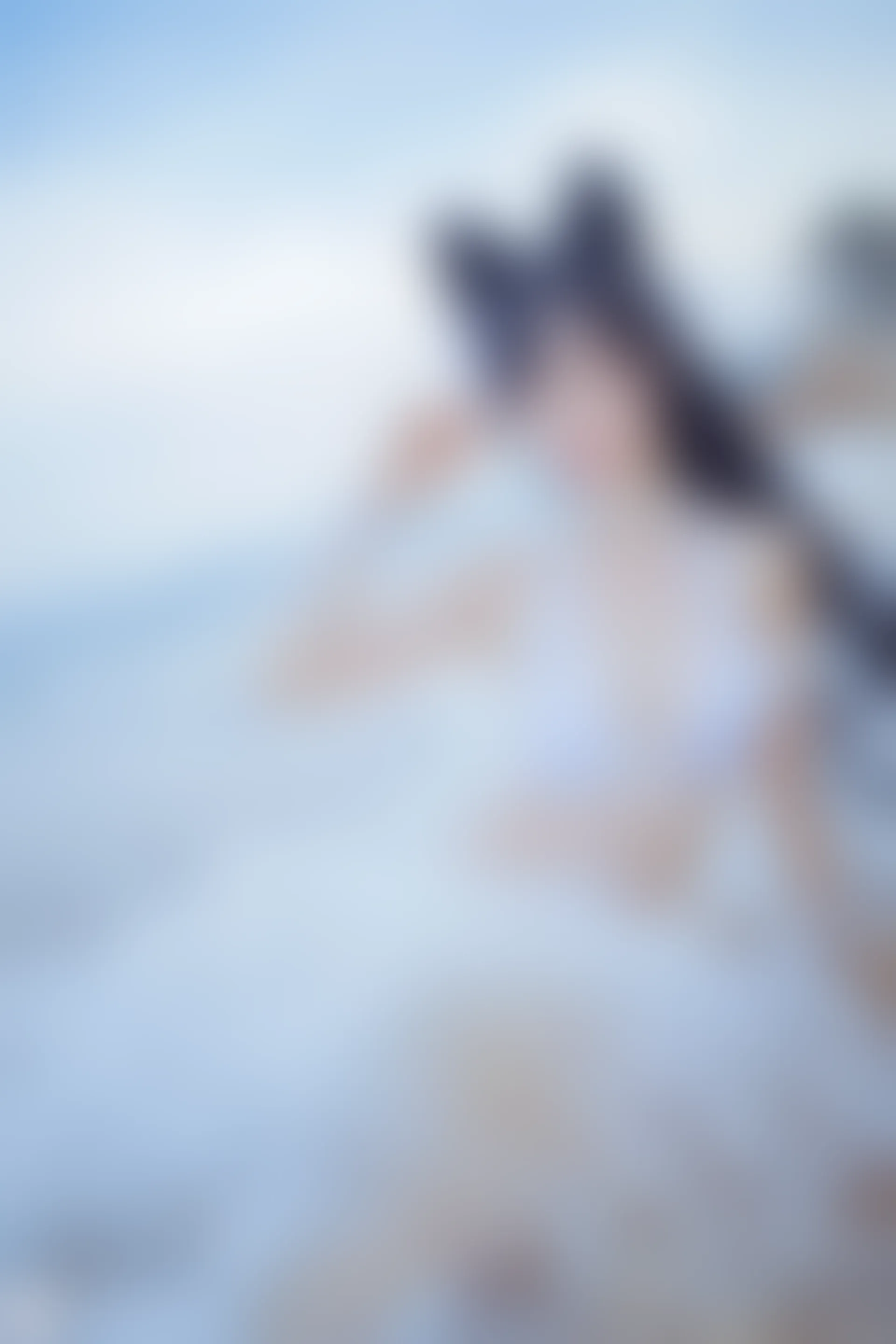 C16.001 獒犬海边泳装 [41P-403MB]