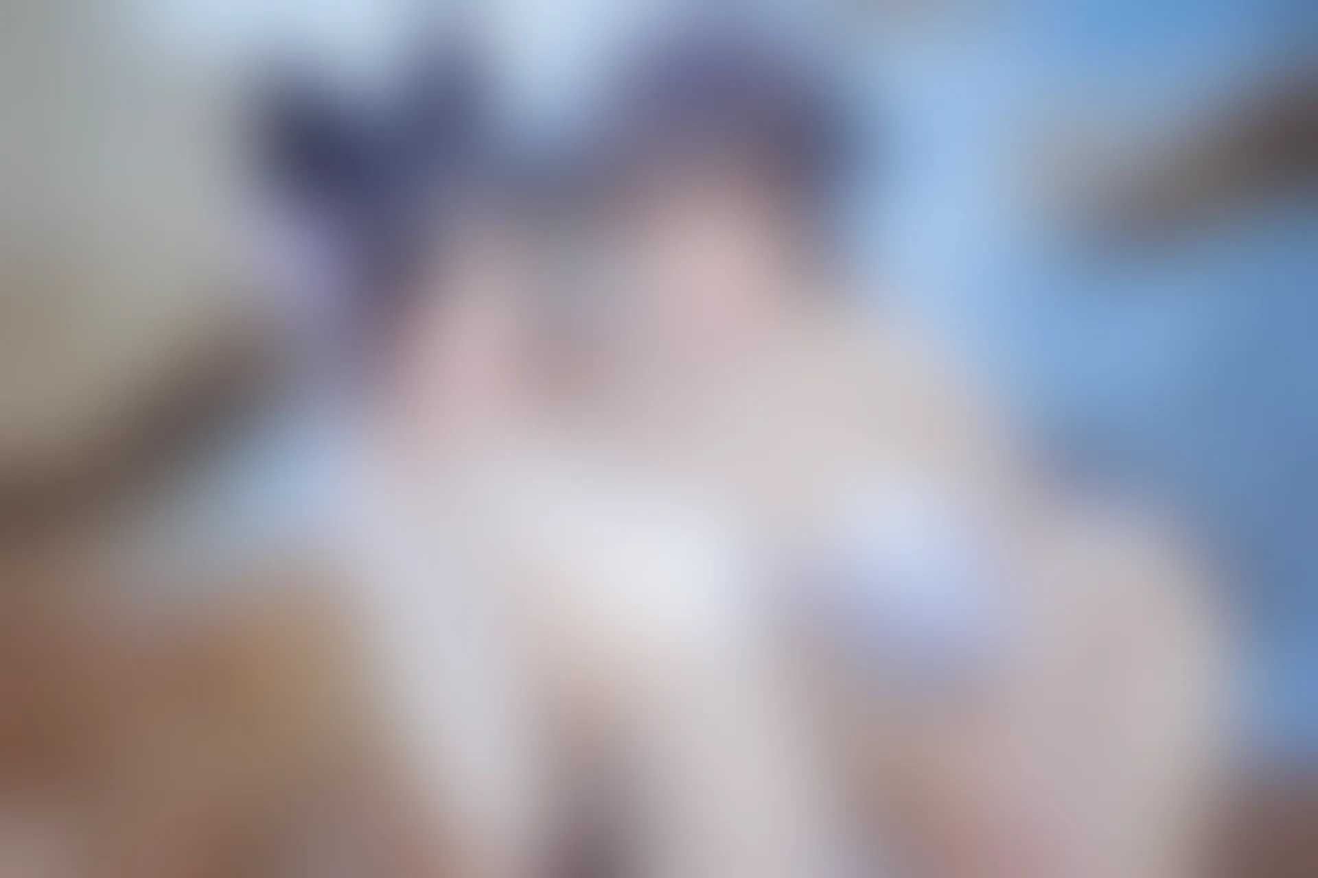 C16.001 獒犬海边泳装 [41P-403MB]