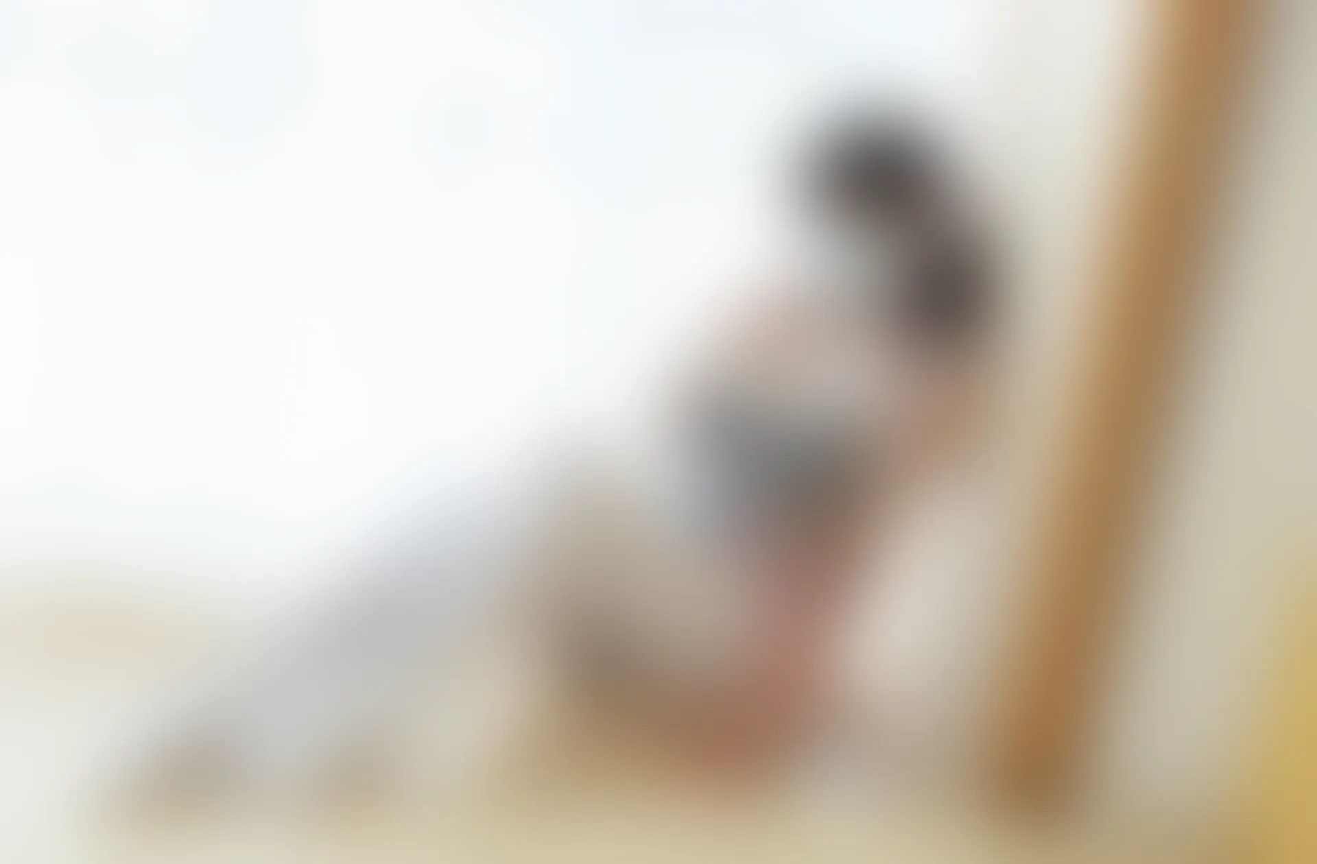 少女秩序 内部定制 NO.03 白丝碎花双马尾 [98P-1.37GB]内衣, 双马尾, 少女秩序, 白丝, 美腿, 美足