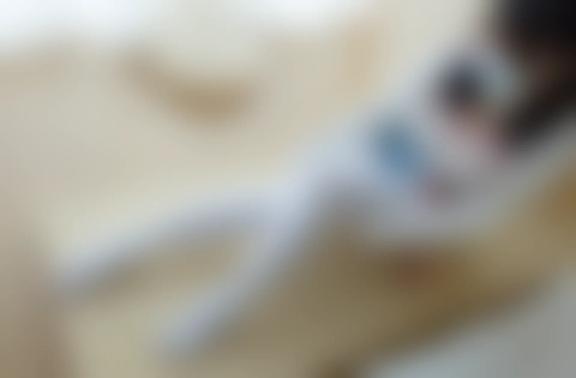 少女秩序 内部定制 NO.03 白丝碎花双马尾 [98P-1.37GB]内衣, 双马尾, 少女秩序, 白丝, 美腿, 美足