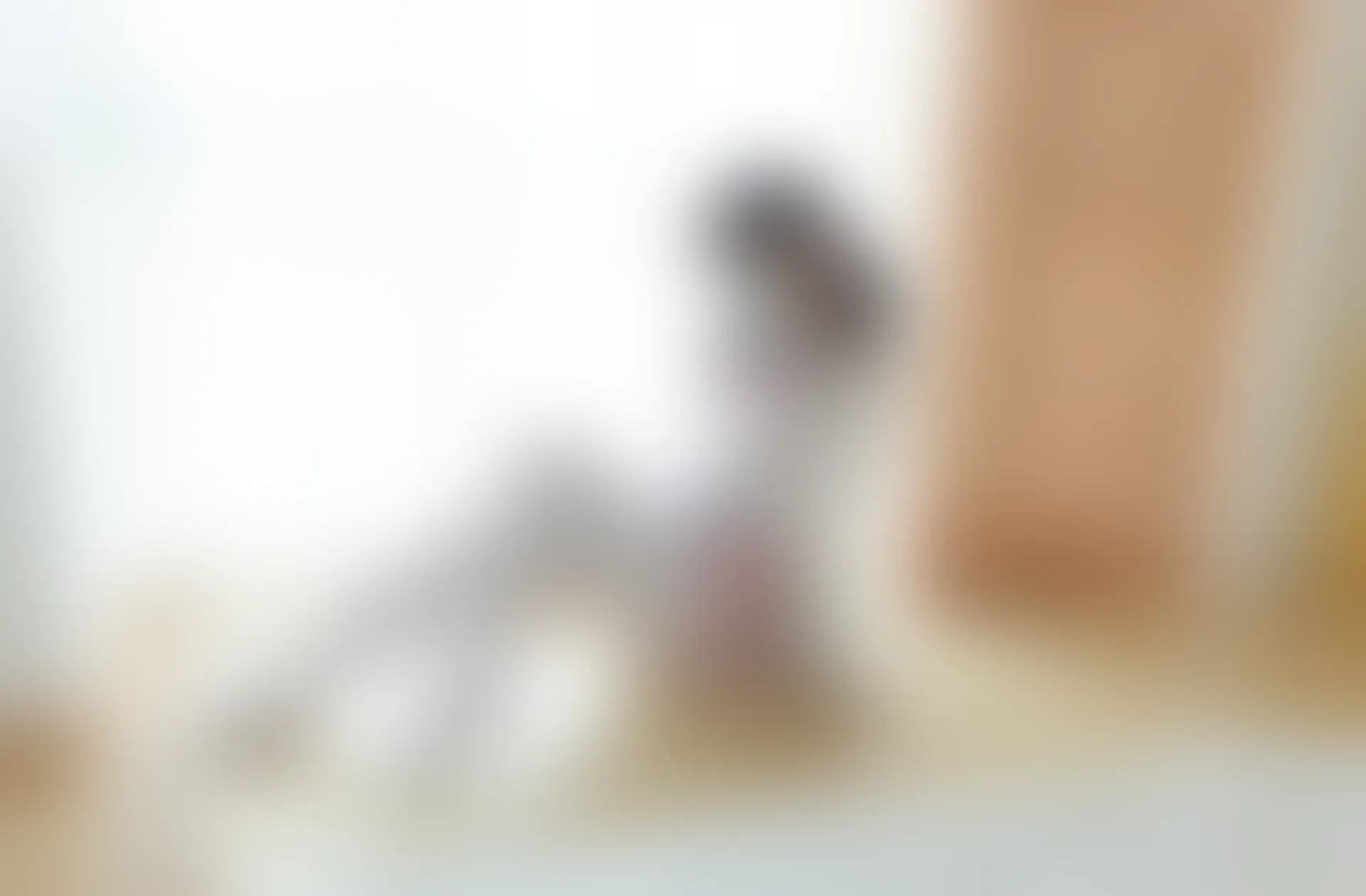 少女秩序 内部定制 NO.03 白丝碎花双马尾 [98P-1.37GB]内衣, 双马尾, 少女秩序, 白丝, 美腿, 美足