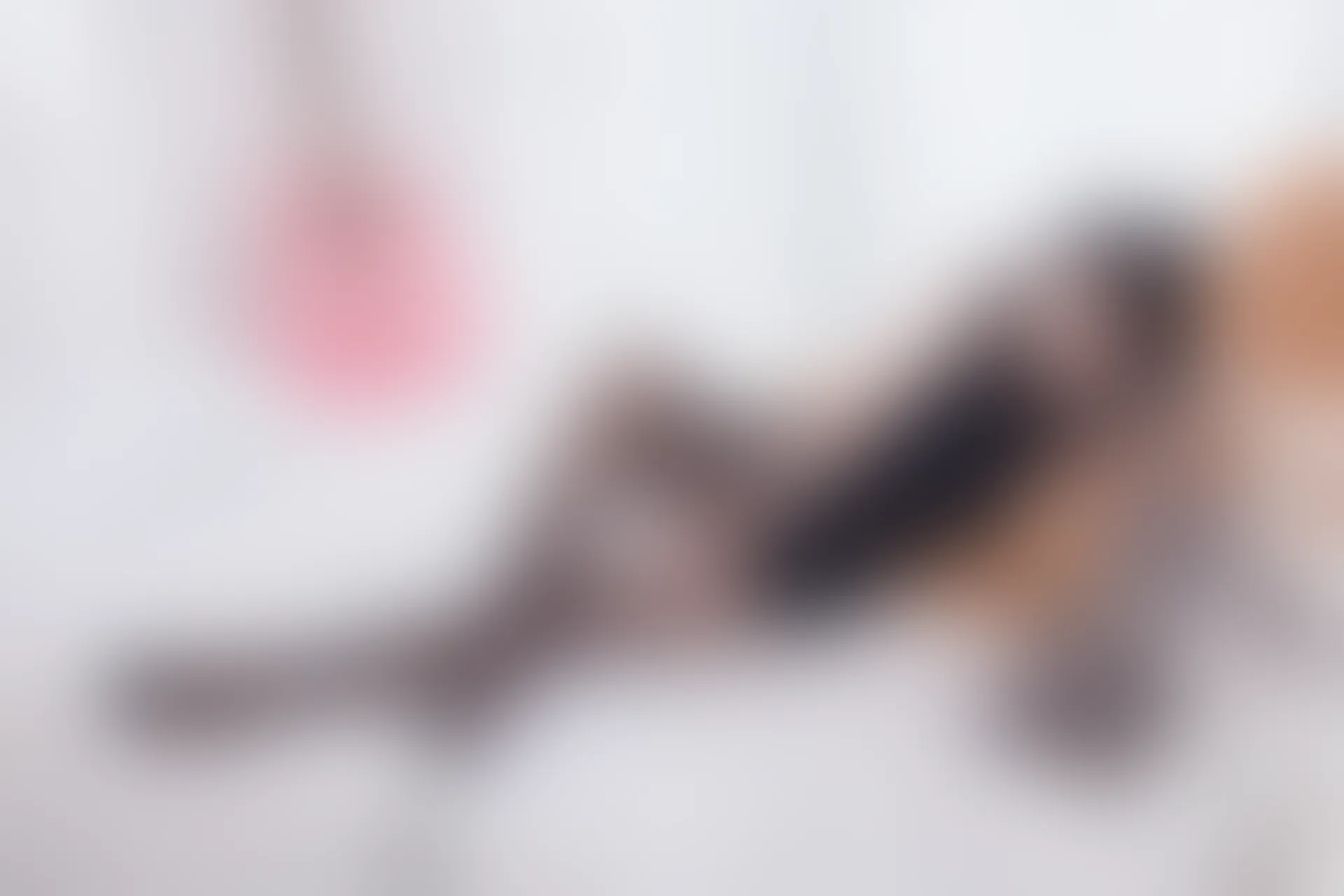 SSA丝社 超清写真 NO.101 佳佳 腿模佳佳短旗袍性感特写[135P-1.26GB]