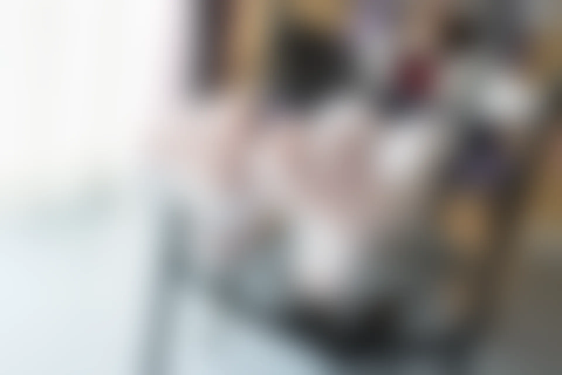 森萝财团 BETA-017 [83P-686M]学生证, 水手服, 白丝, 美腿