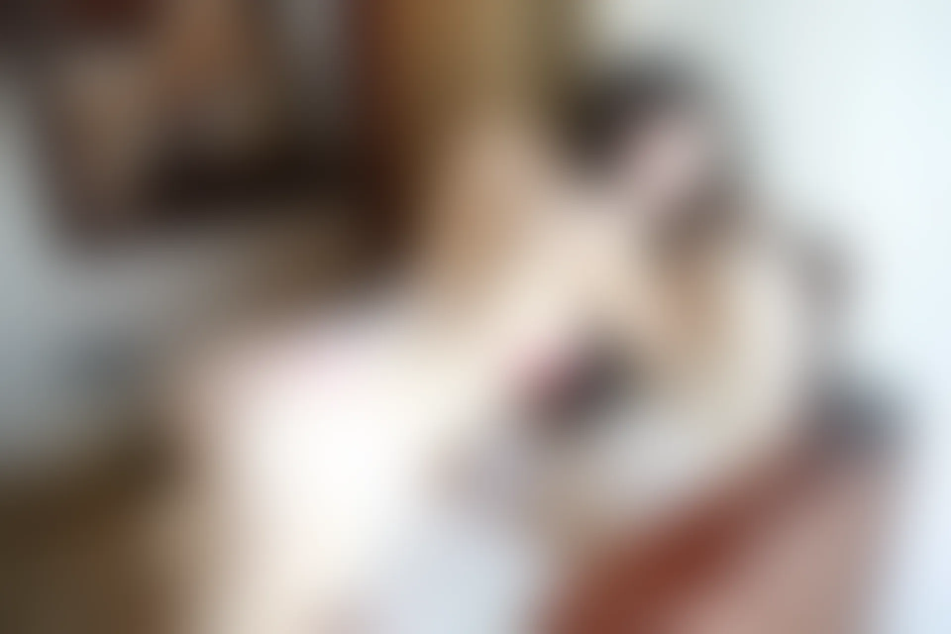 XiuRen秀人网 2014.02.07 No.099 模特合集