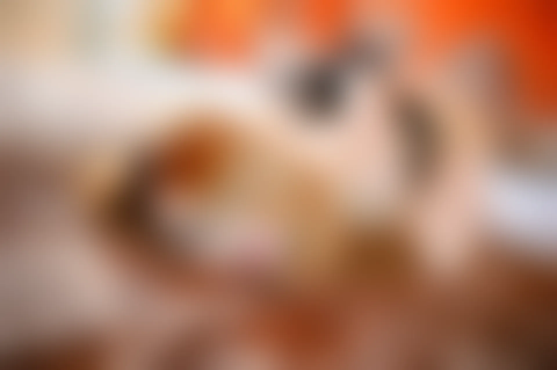 XiuRen秀人网 2014.07.20 No.177 瞳老爺_Kilo[69+1P179M]