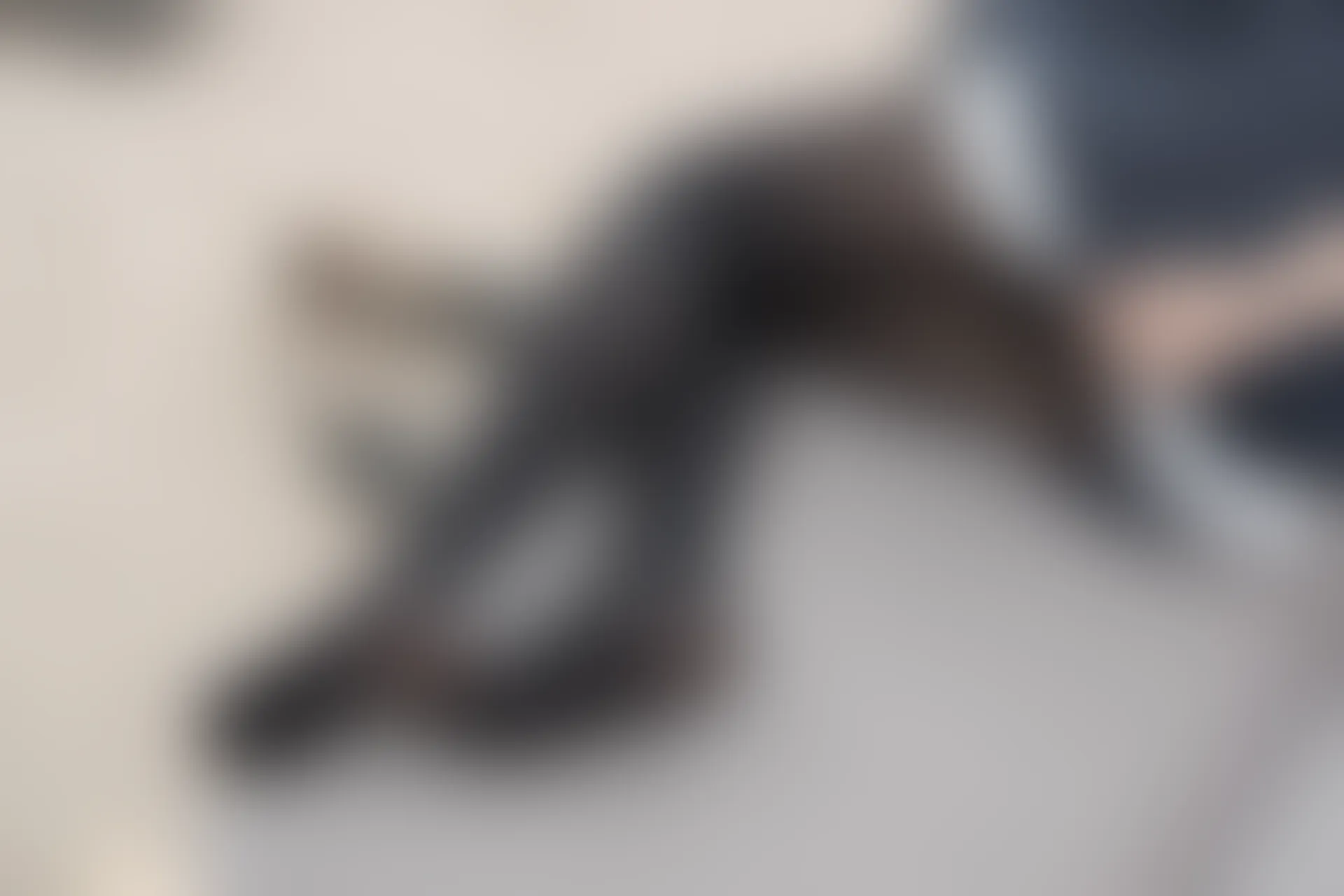 森萝财团 R15-001 [80P-446M]可爱, 女仆装, 森萝财团, 美腿, 黑丝