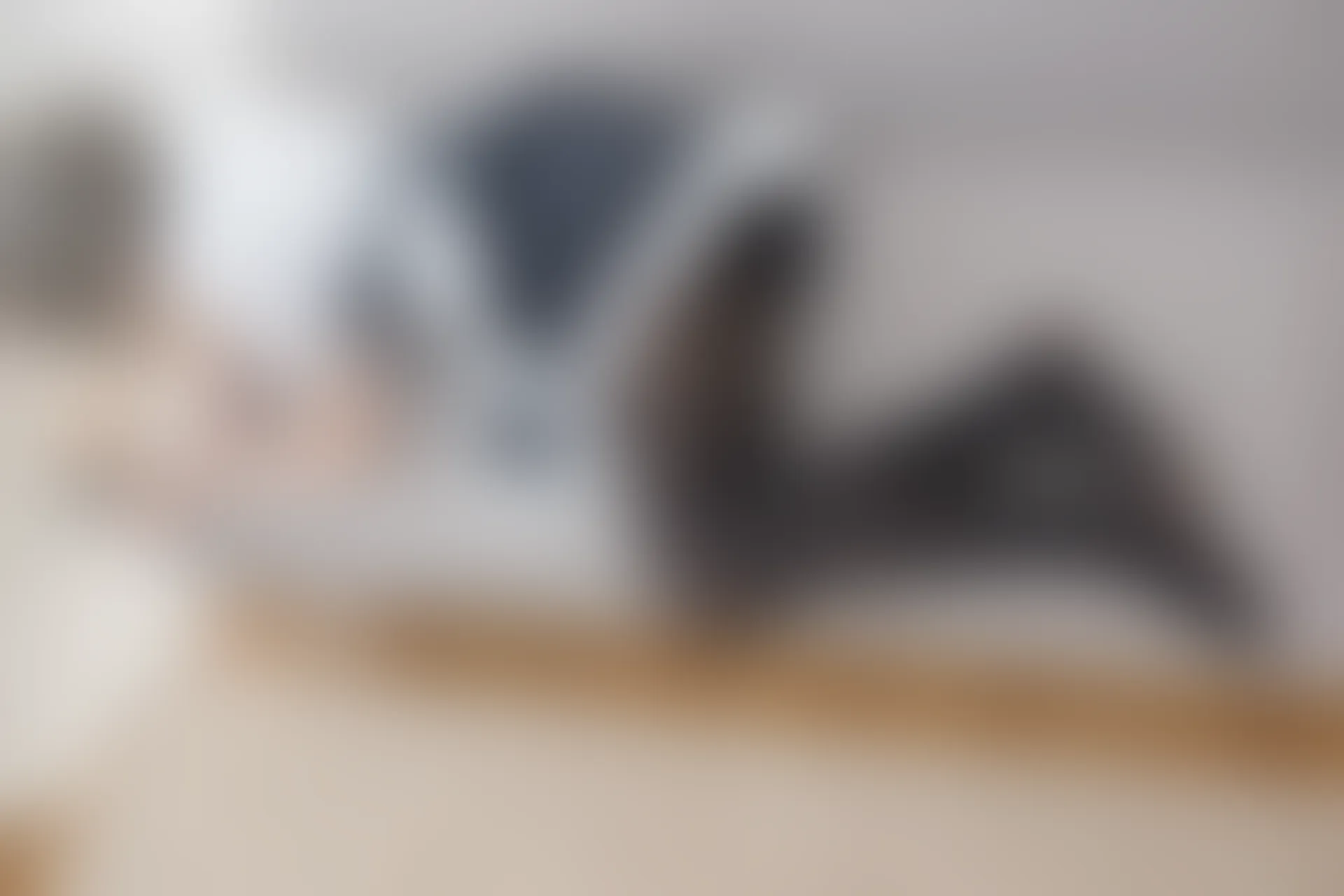 森萝财团 R15-001 [80P-446M]可爱, 女仆装, 森萝财团, 美腿, 黑丝