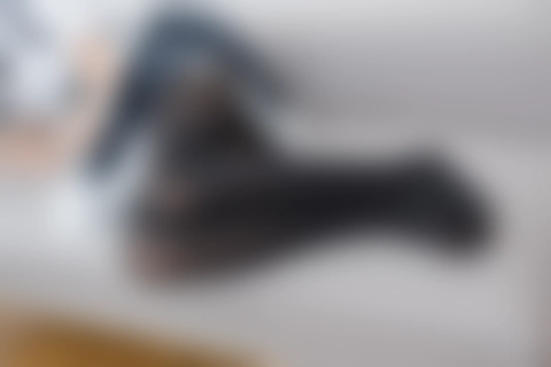 森萝财团 R15-001 [80P-446M]可爱, 女仆装, 森萝财团, 美腿, 黑丝