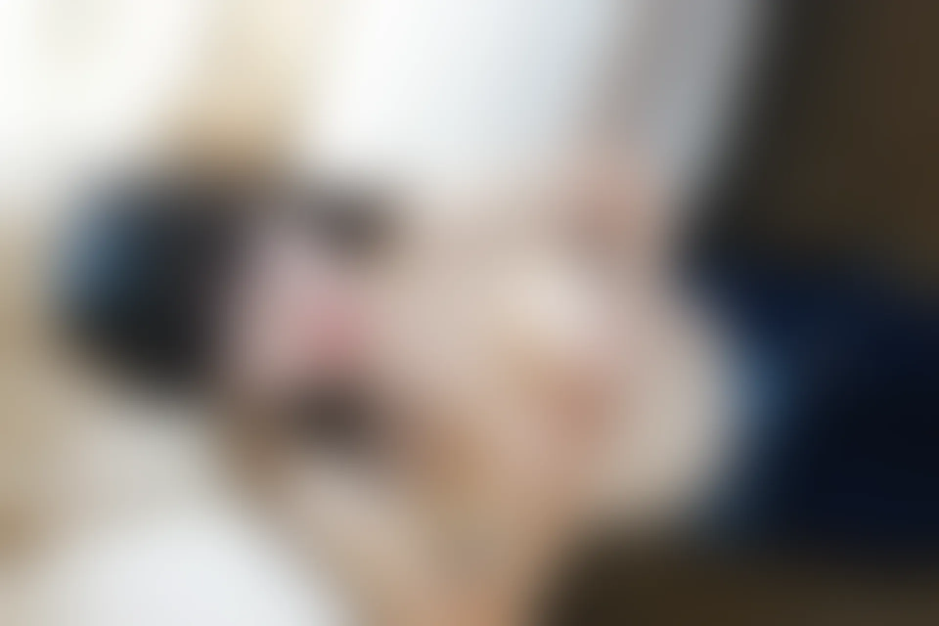 XiuRen秀人网 2016.05.05 No.520 月音瞳 [59P+1P131MB]
