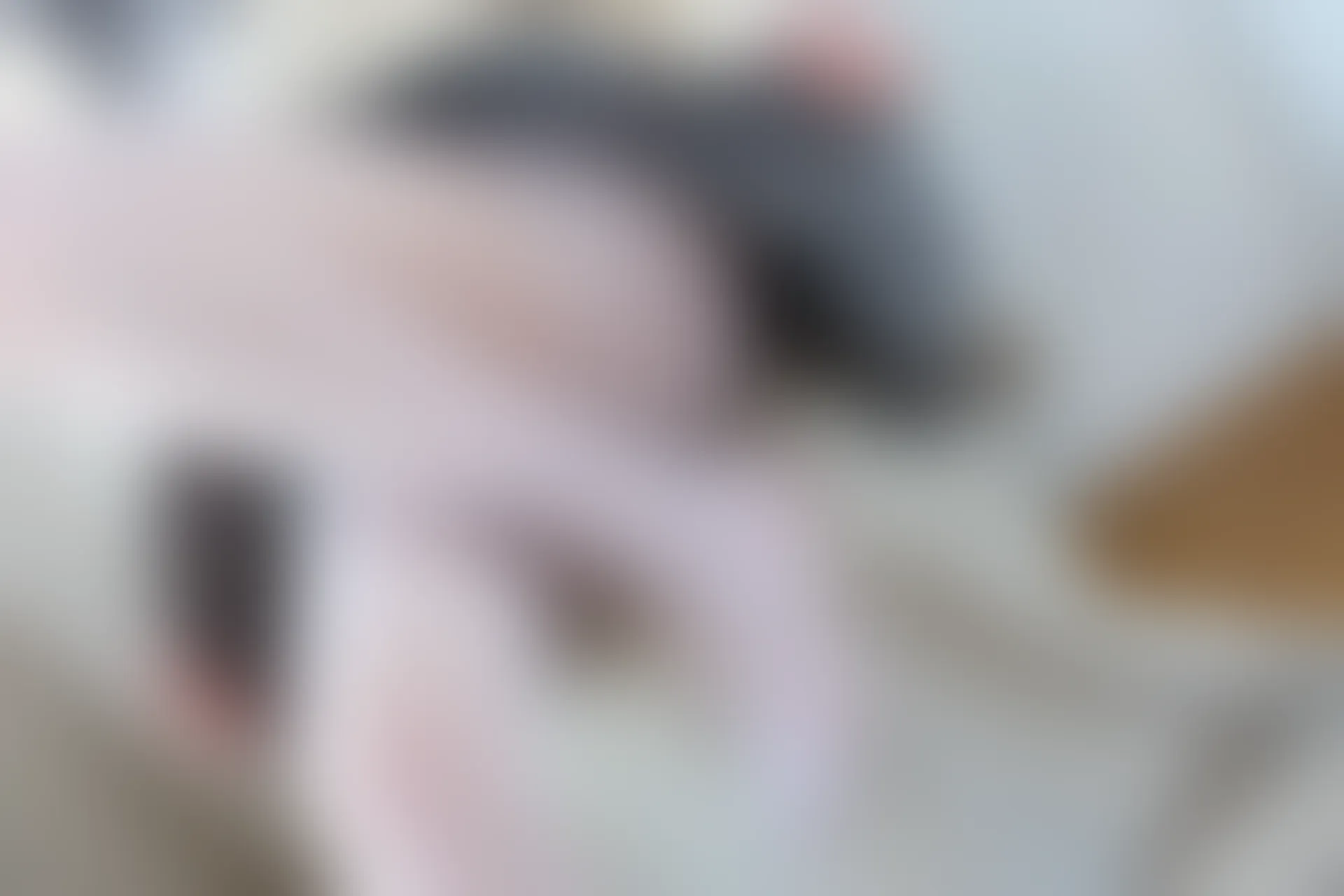 森萝财团 X-010-SSR [83P1V-1.46G]学生装, 校服, 森萝财团, 白丝, 美腿