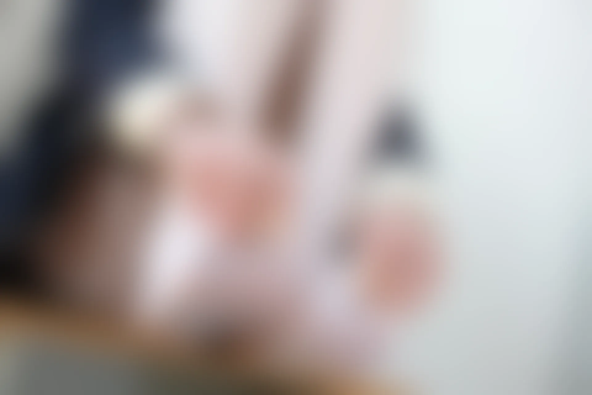 森萝财团 X-010-SSR [83P1V-1.46G]学生装, 校服, 森萝财团, 白丝, 美腿