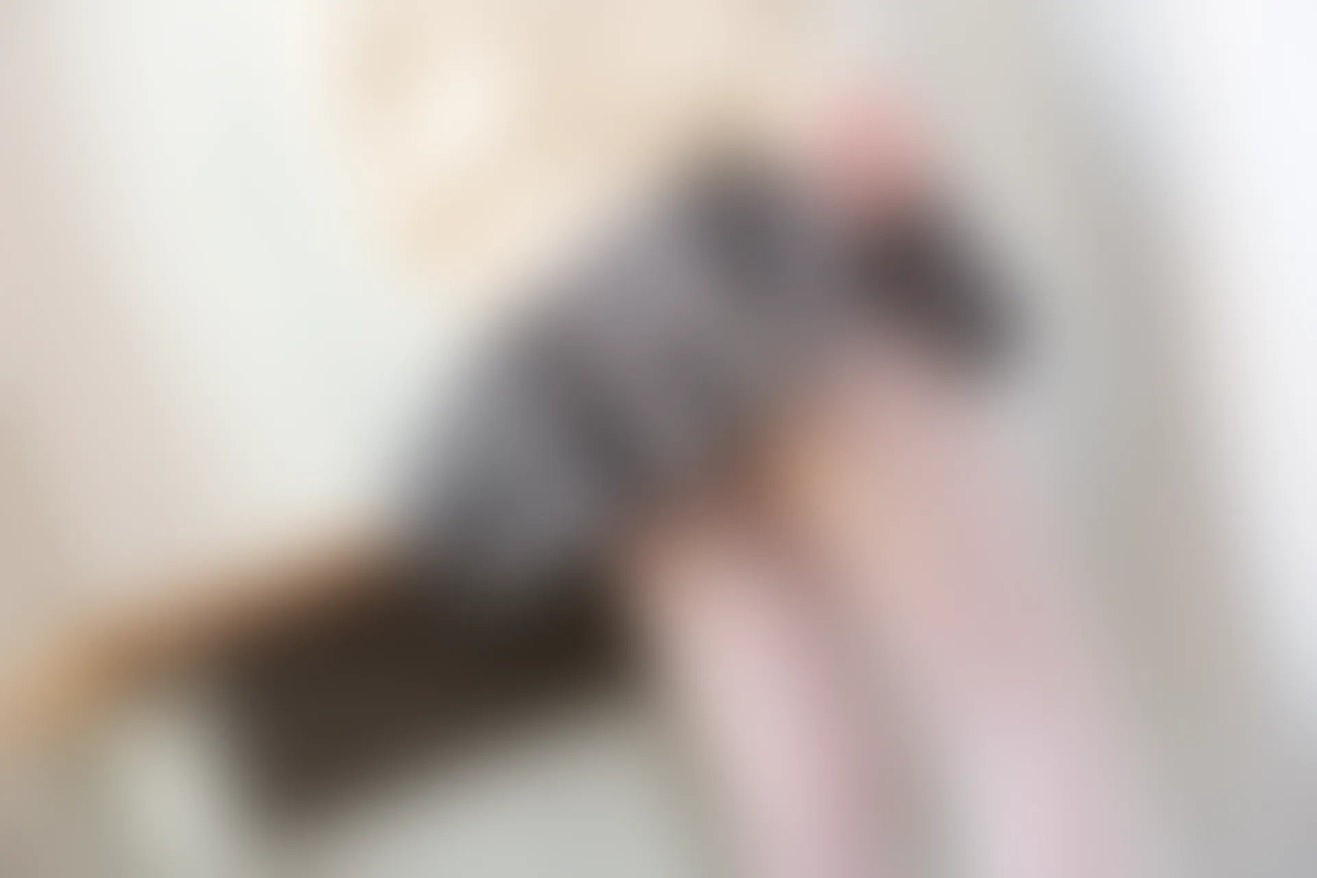 森萝财团 X-010-SSR [83P1V-1.46G]学生装, 校服, 森萝财团, 白丝, 美腿
