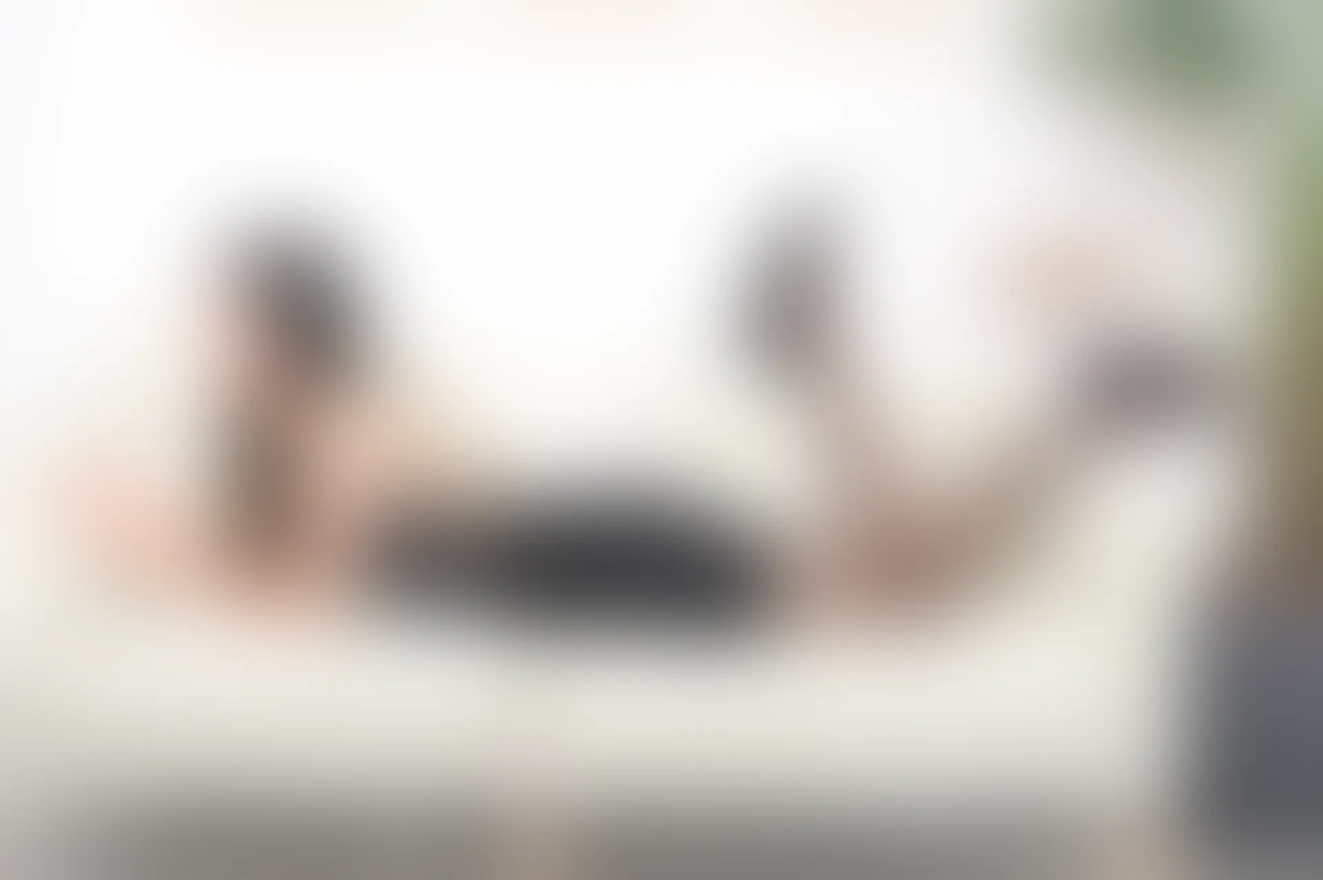 SSA丝社 超清写真 NO.201 小九妹妹 大露背连衣裙穿搭示范[115P-1.68GB]