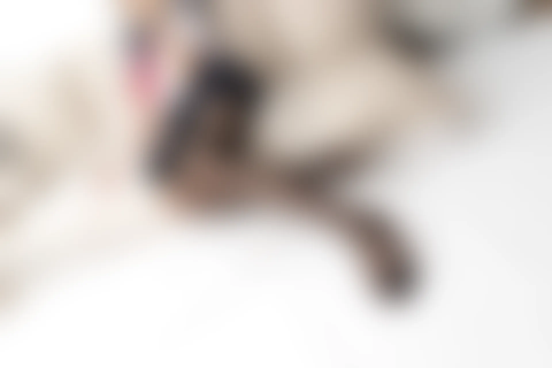 森萝财团 BETA-032 [66P-565M]森萝财团, 水手服, 美腿, 美足, 黑丝