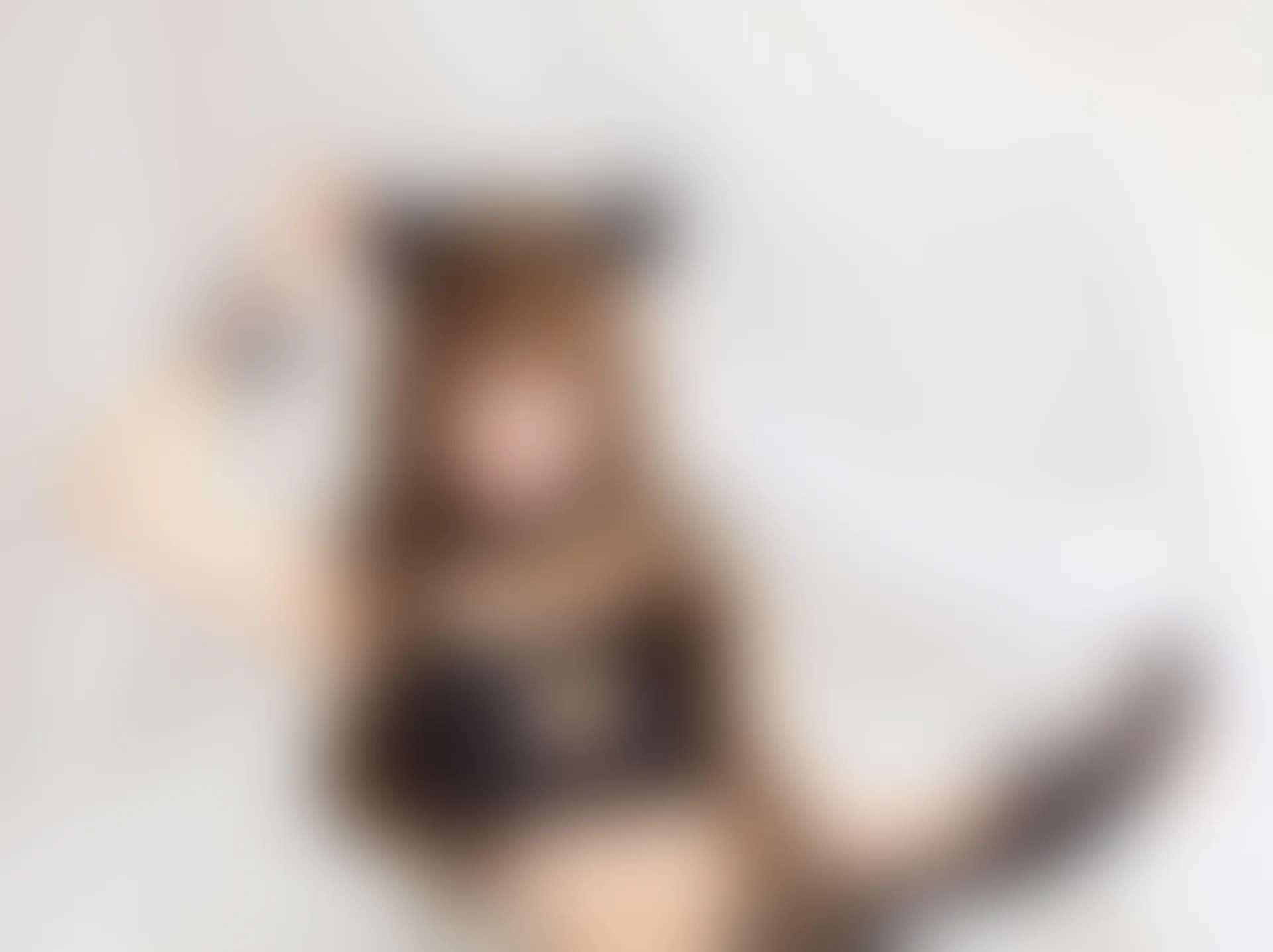 VOL.002 萌喵喵 [40P-260MB]