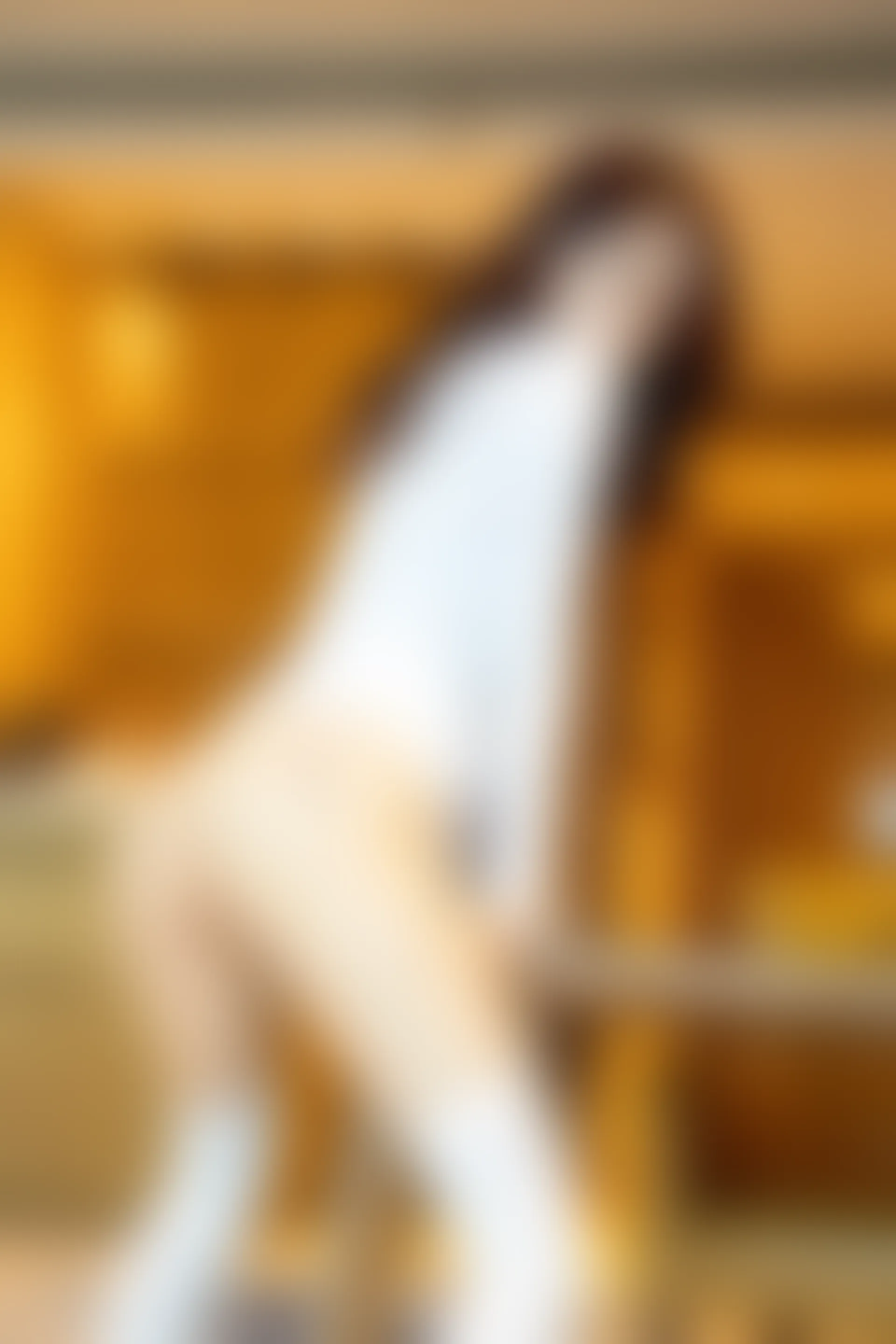 XiuRen秀人网 2021.10.15 No.4071 周慕汐baby 吊袜美腿[112+1P／1GB]